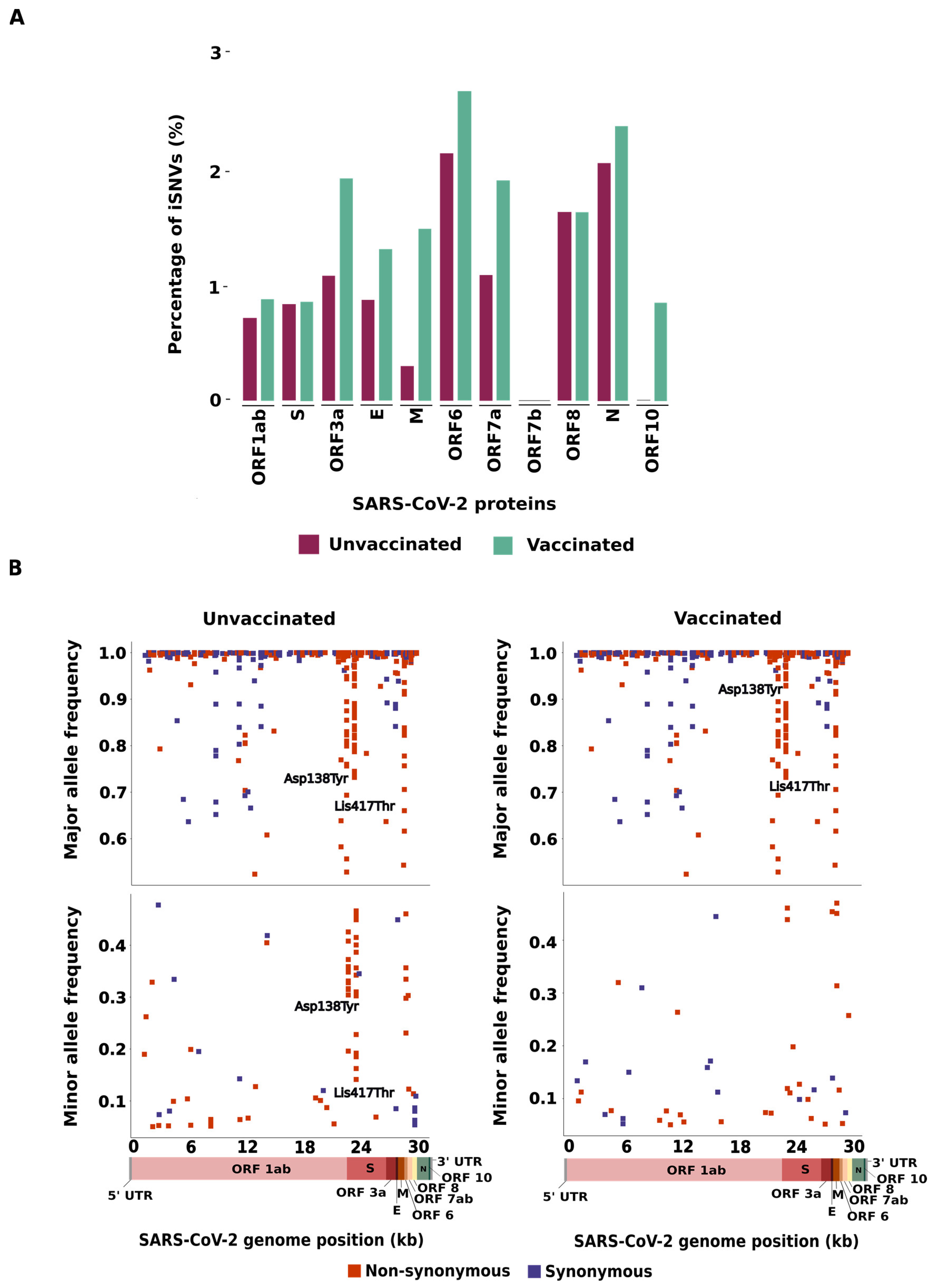Viruses 16 01524 g001