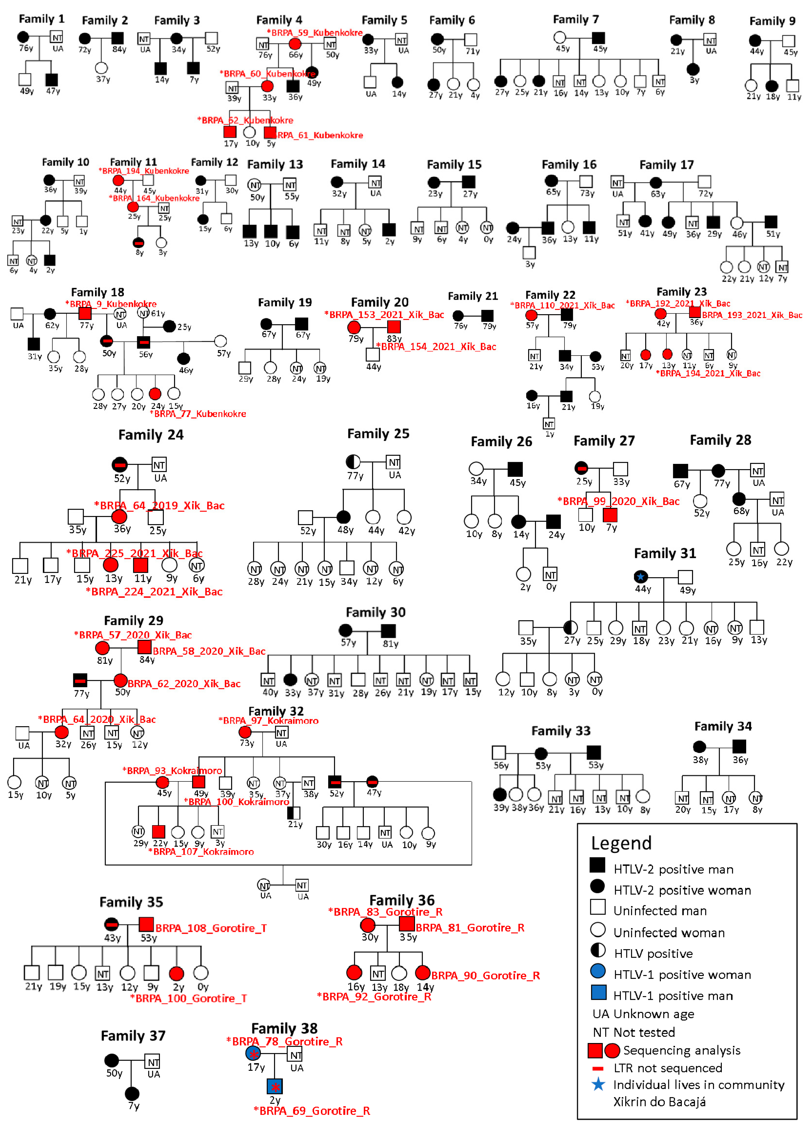 Viruses 16 01525 g002