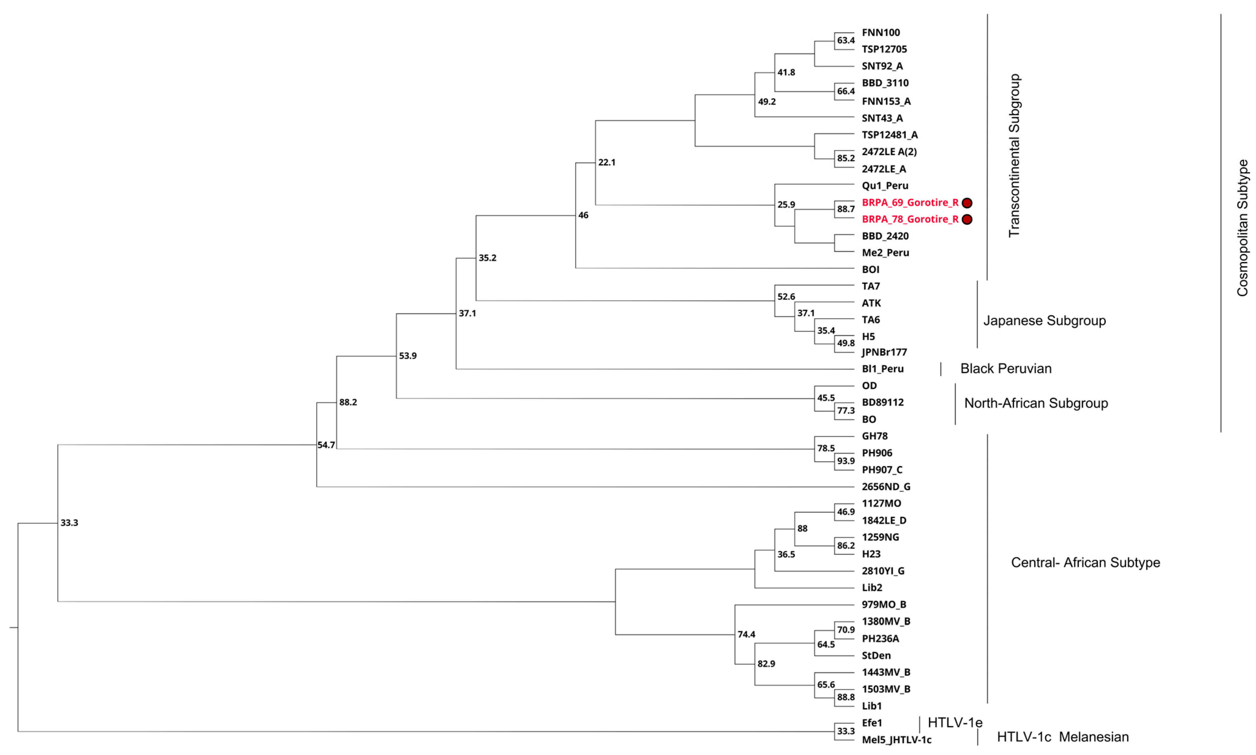 Viruses 16 01525 g003