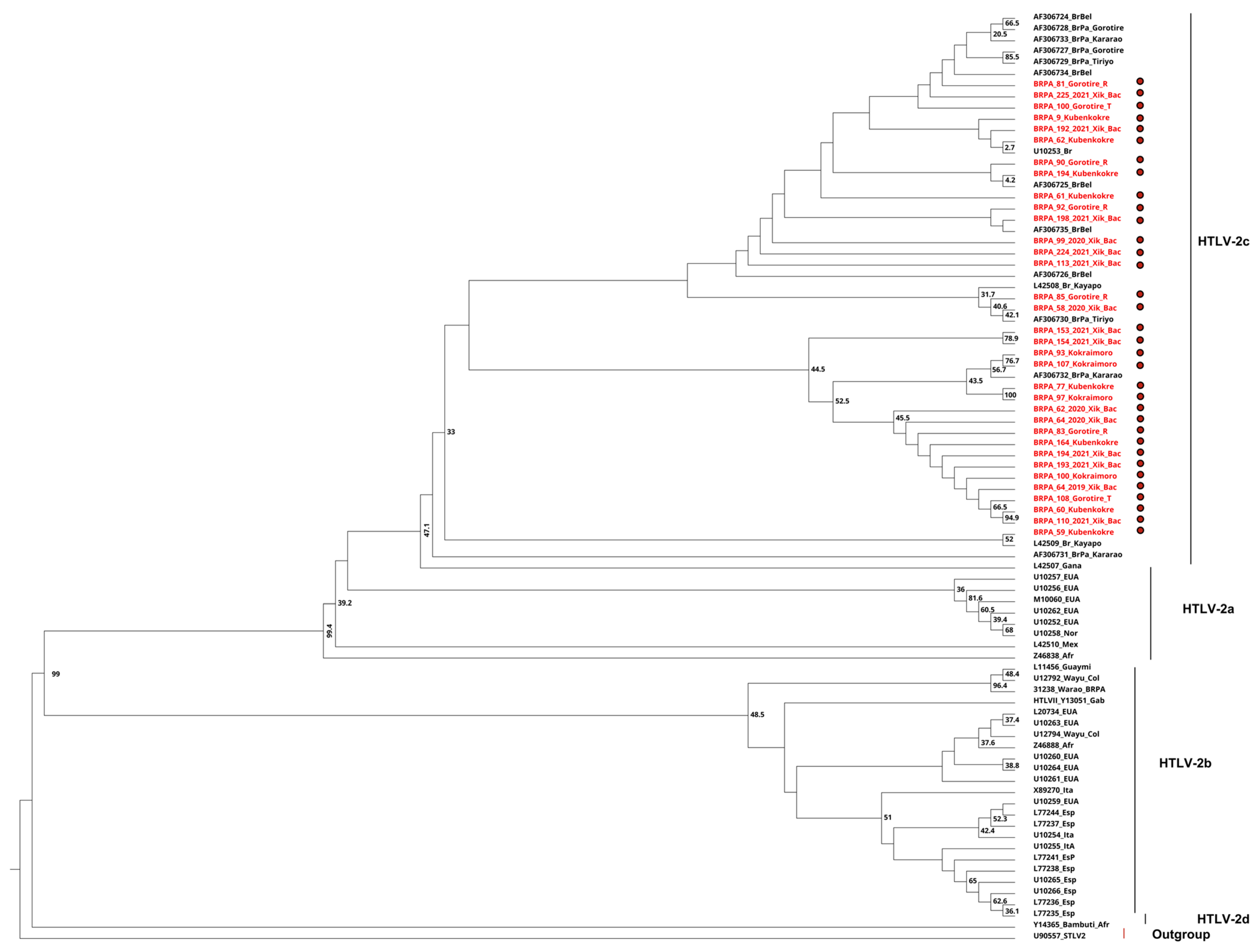 Viruses 16 01525 g004
