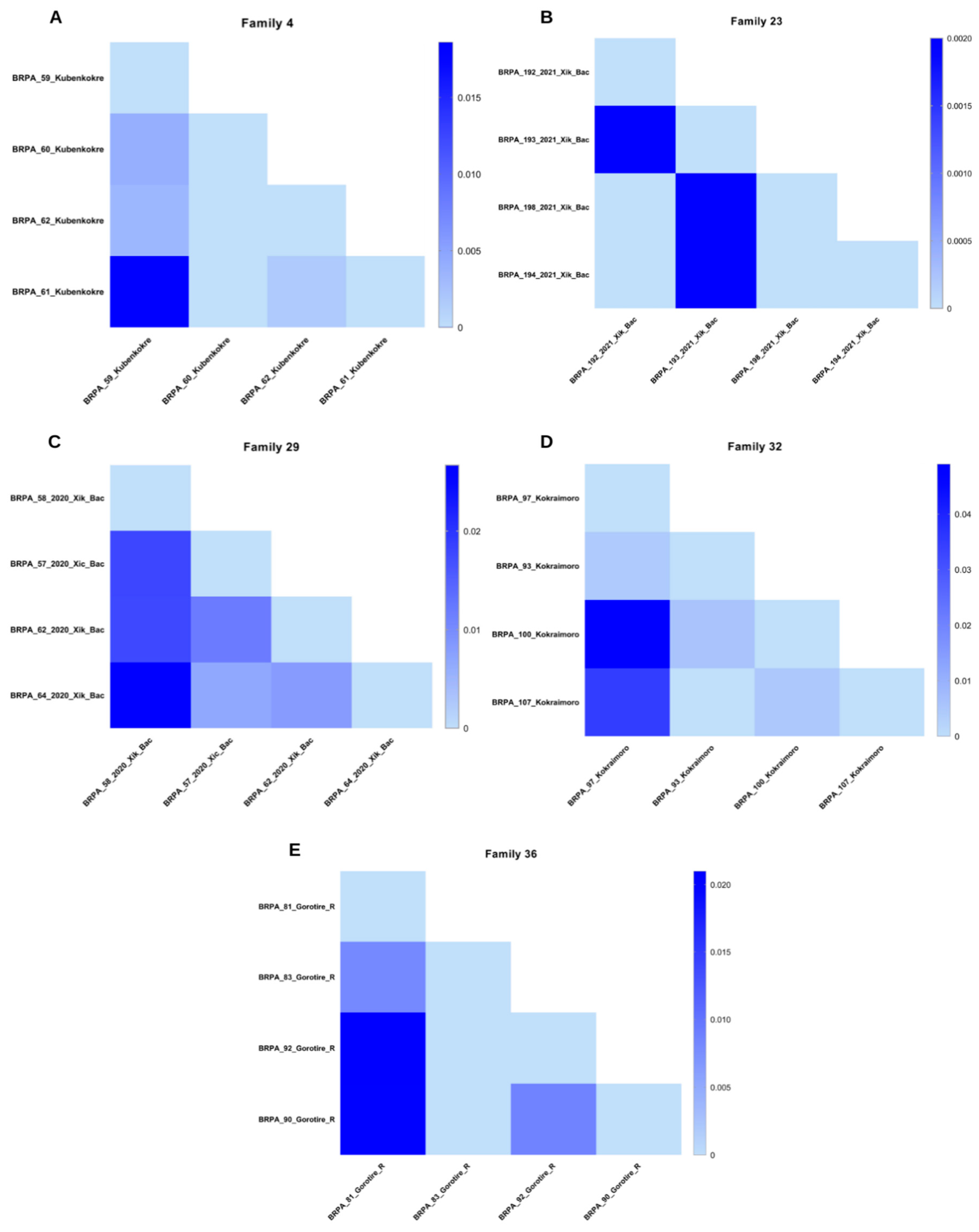 Viruses 16 01525 g005