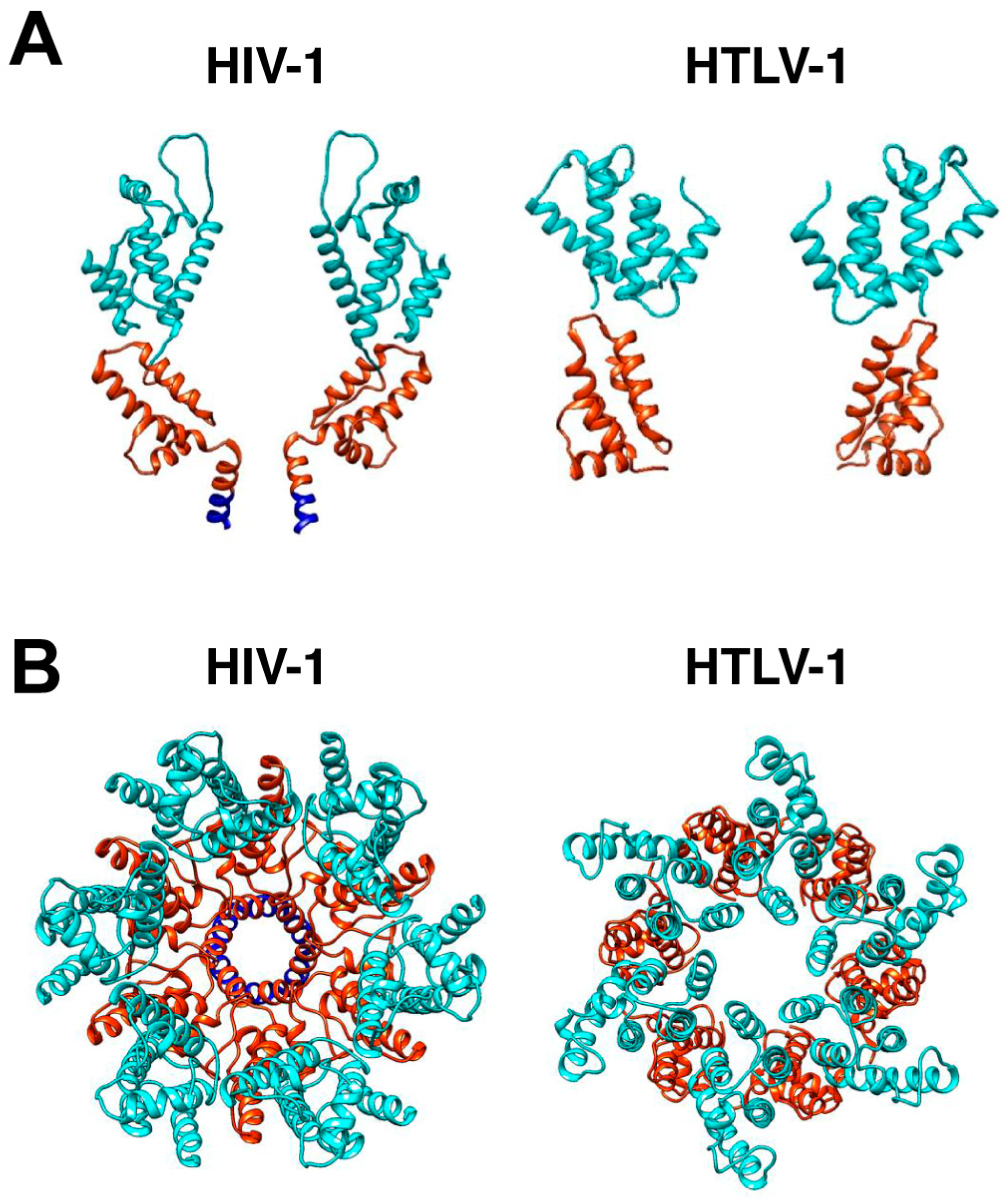 Viruses 16 01528 g004