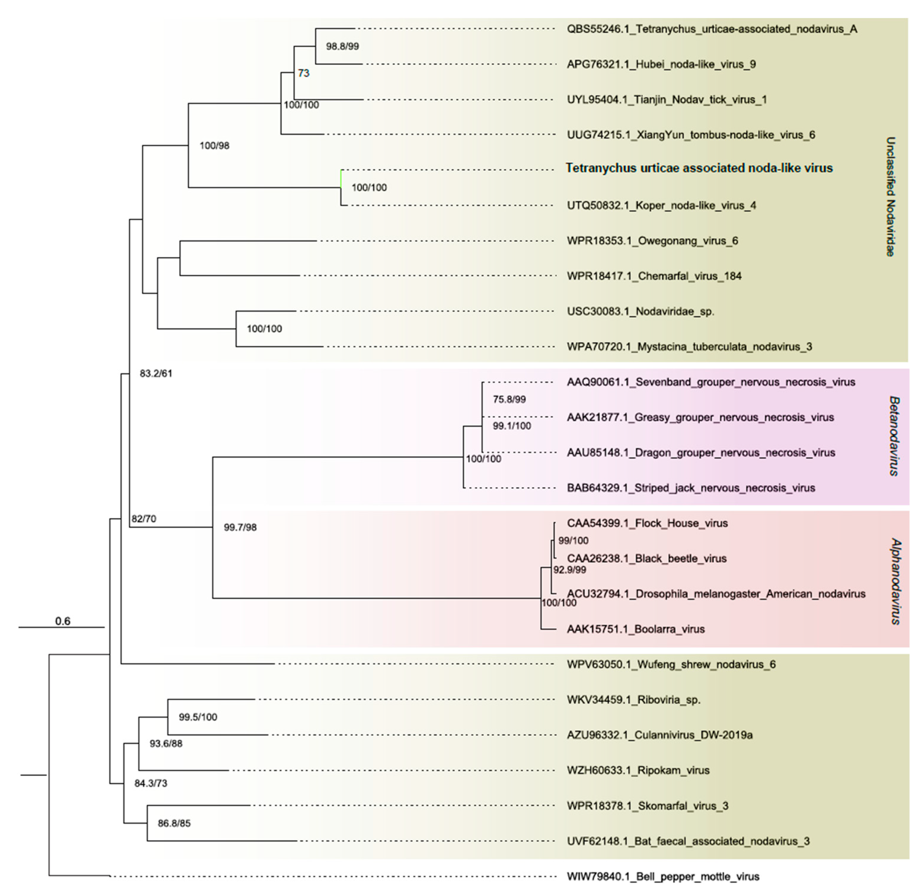Viruses 16 01532 g003 Viruses 16 01532 g003