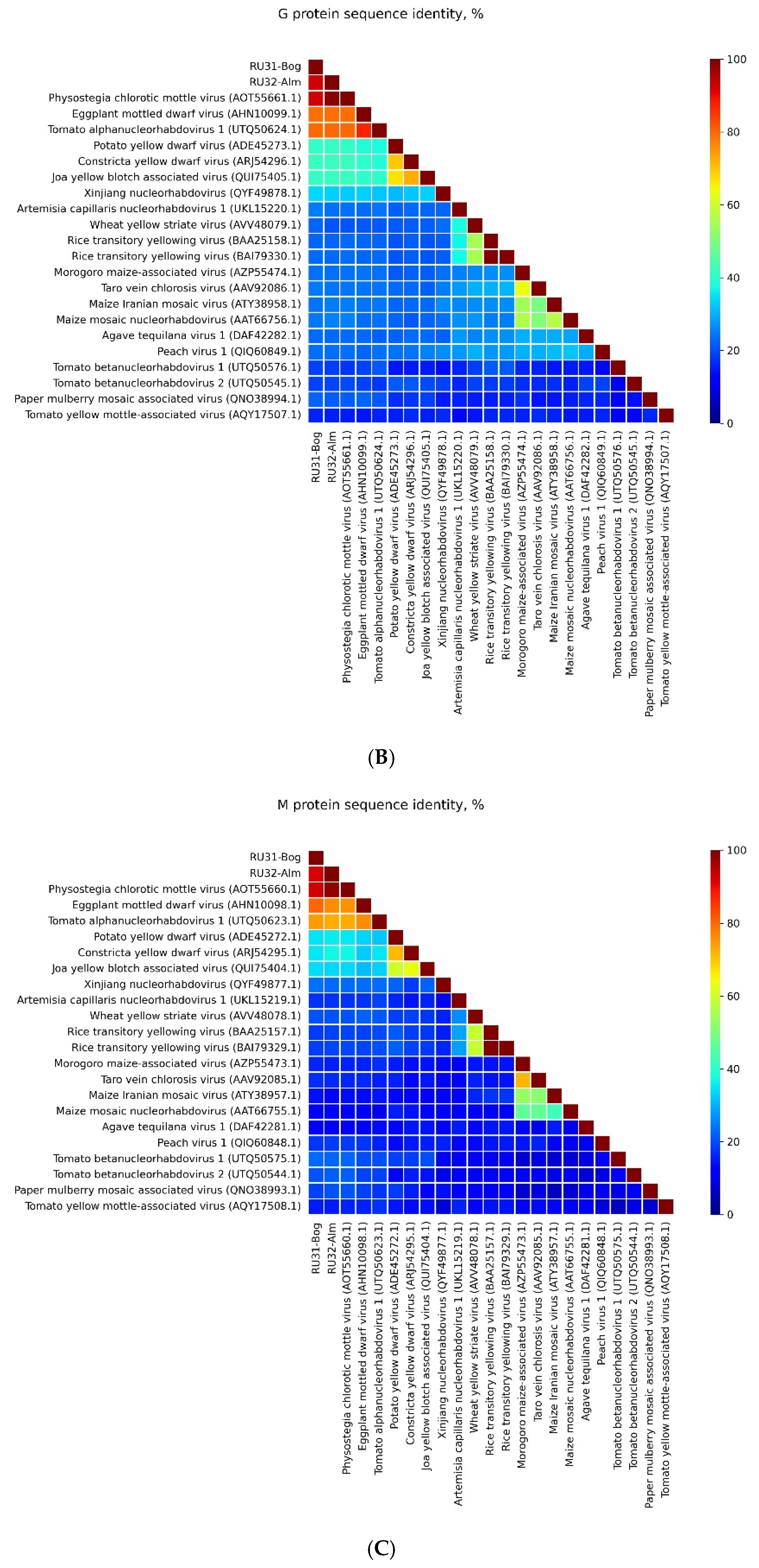Viruses 16 01538 g001b