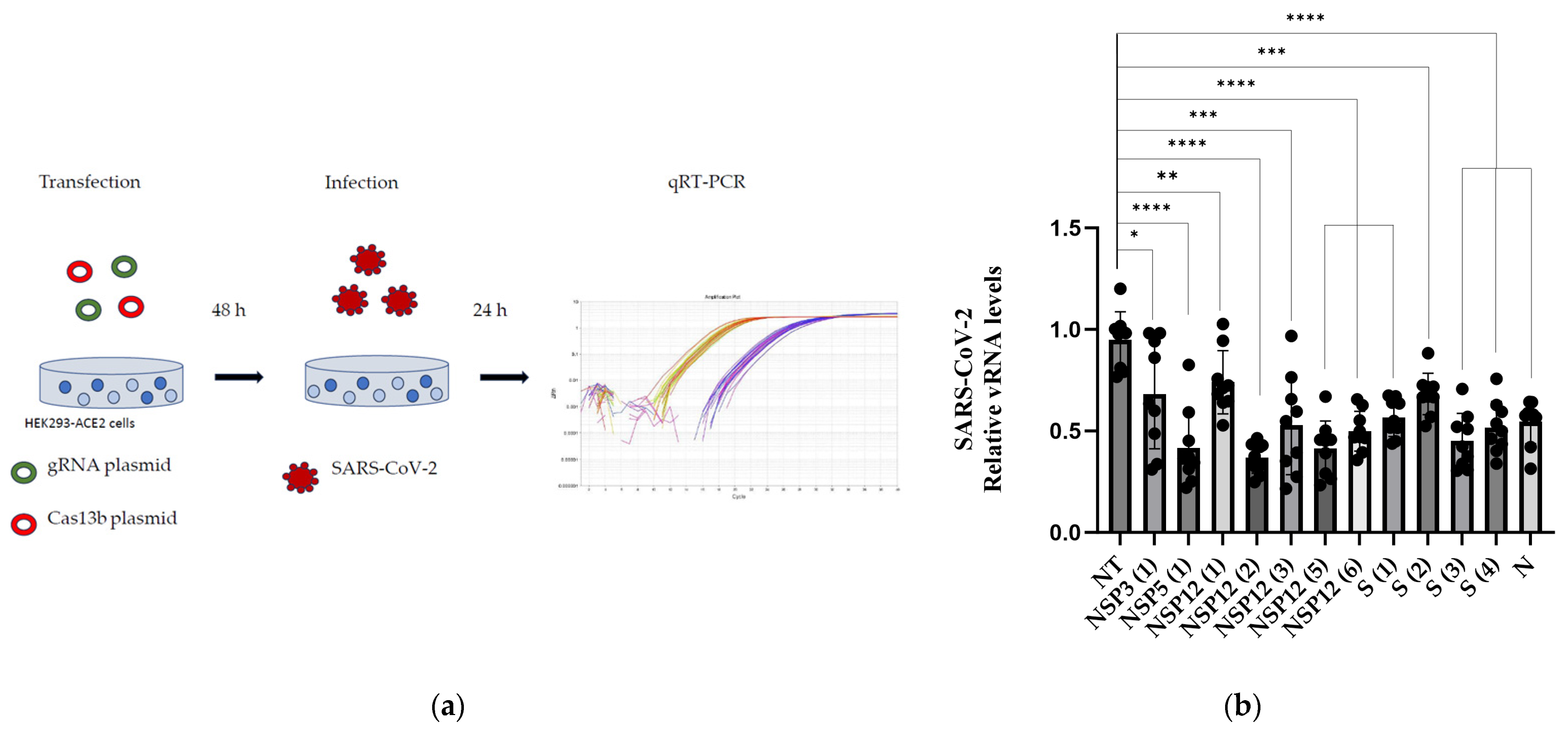 Viruses 16 01539 g002