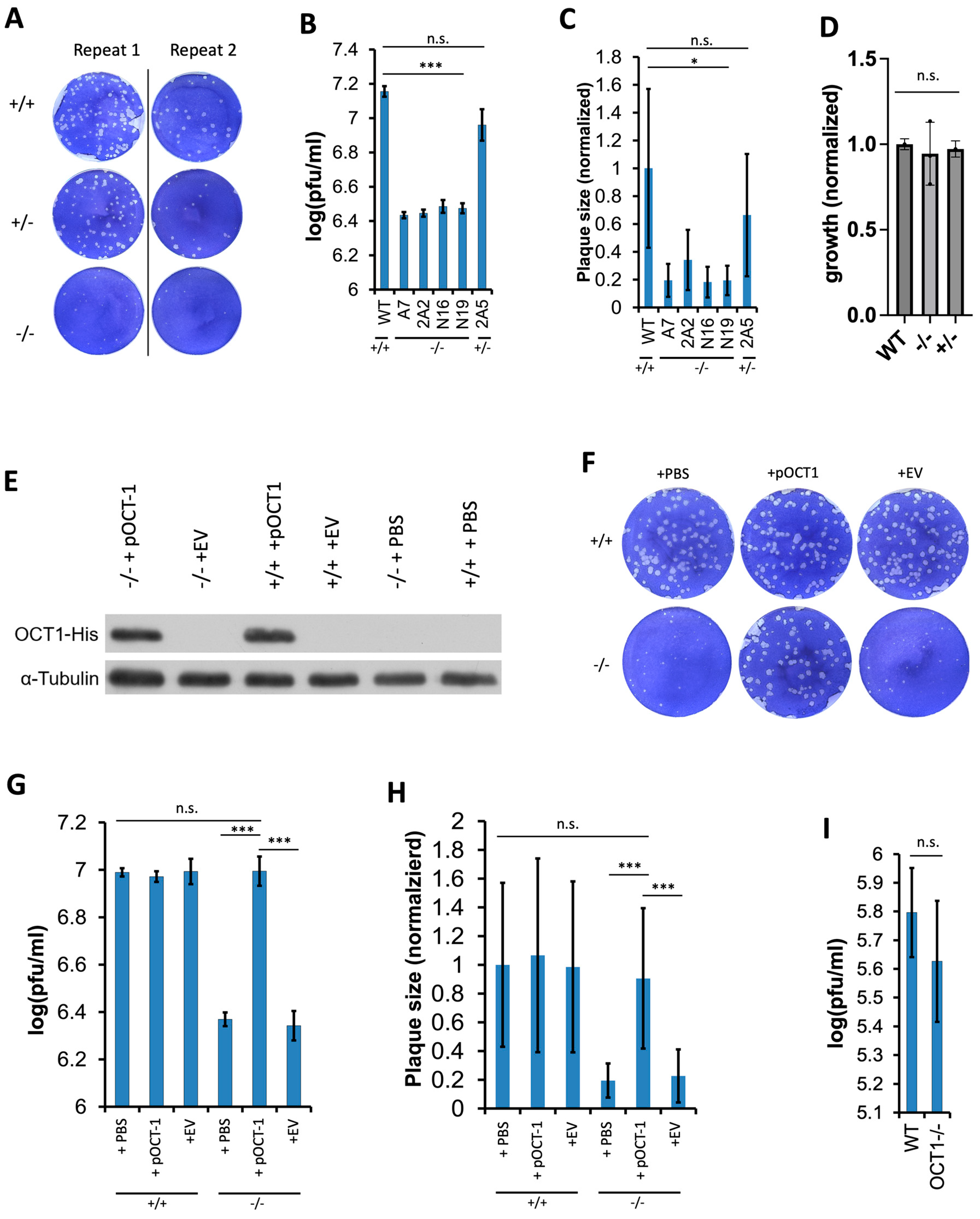 Viruses 16 01549 g002