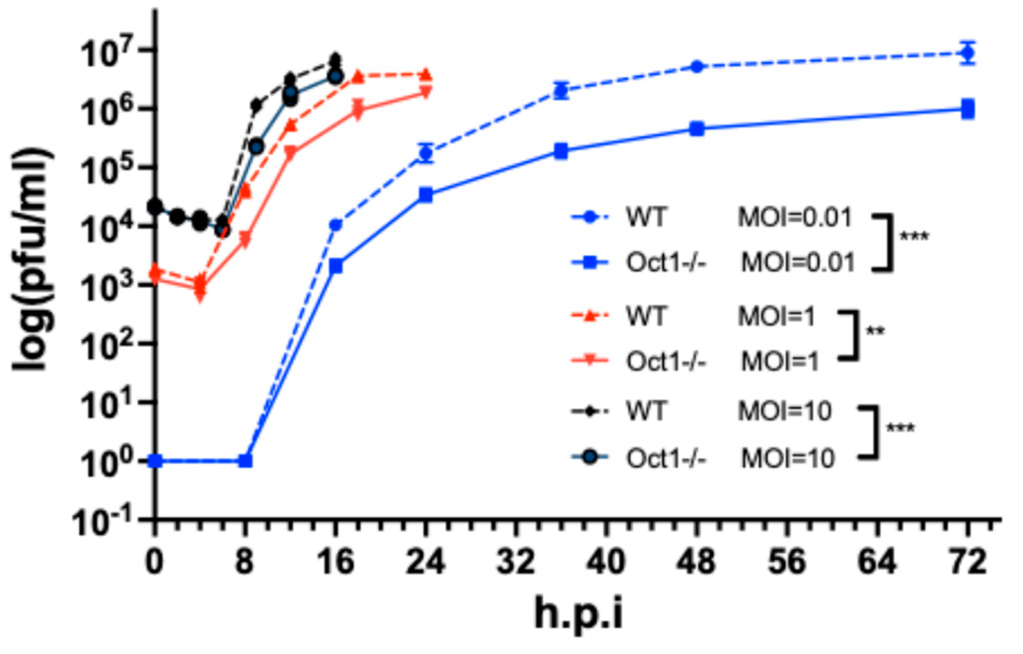 Viruses 16 01549 g003