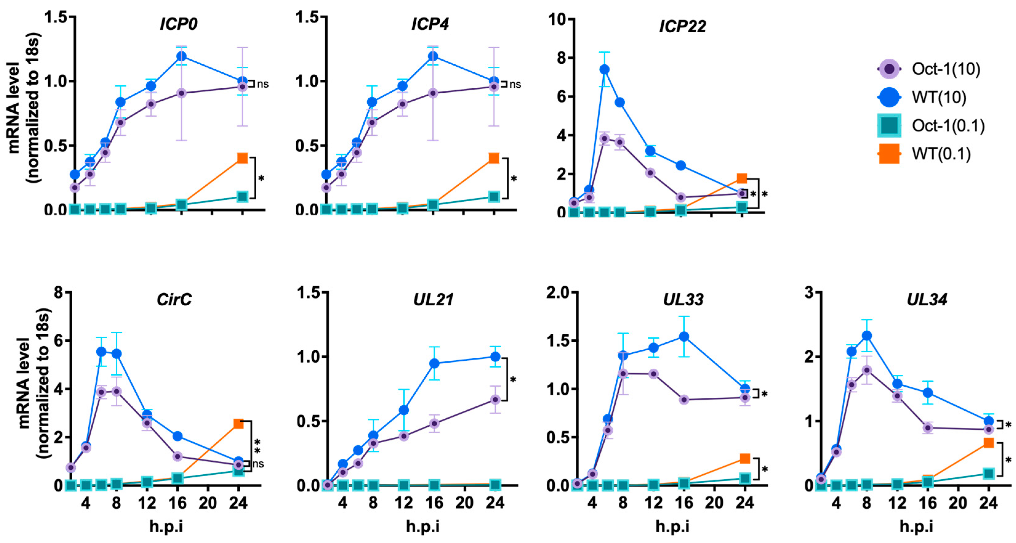 Viruses 16 01549 g004