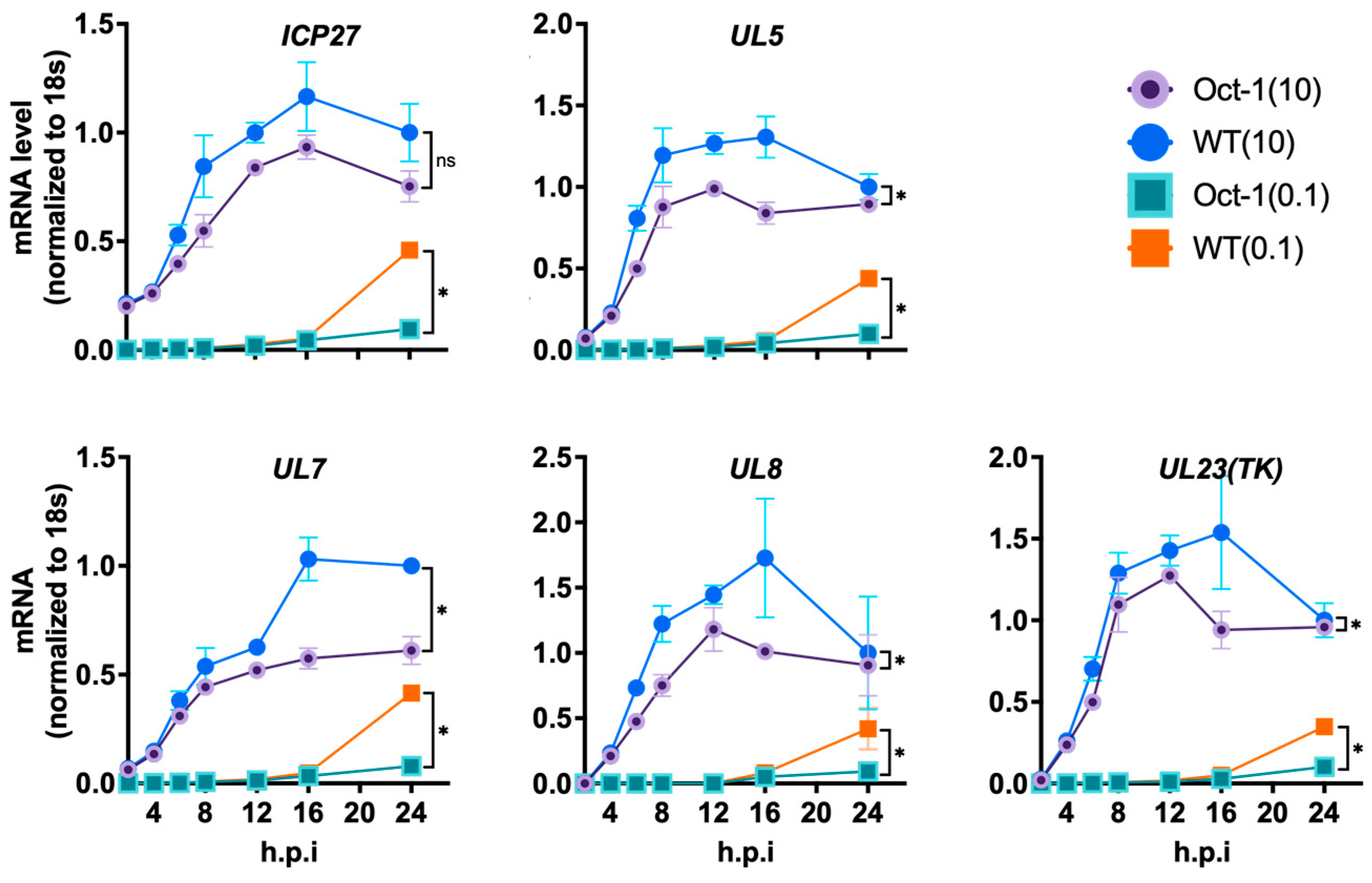 Viruses 16 01549 g005