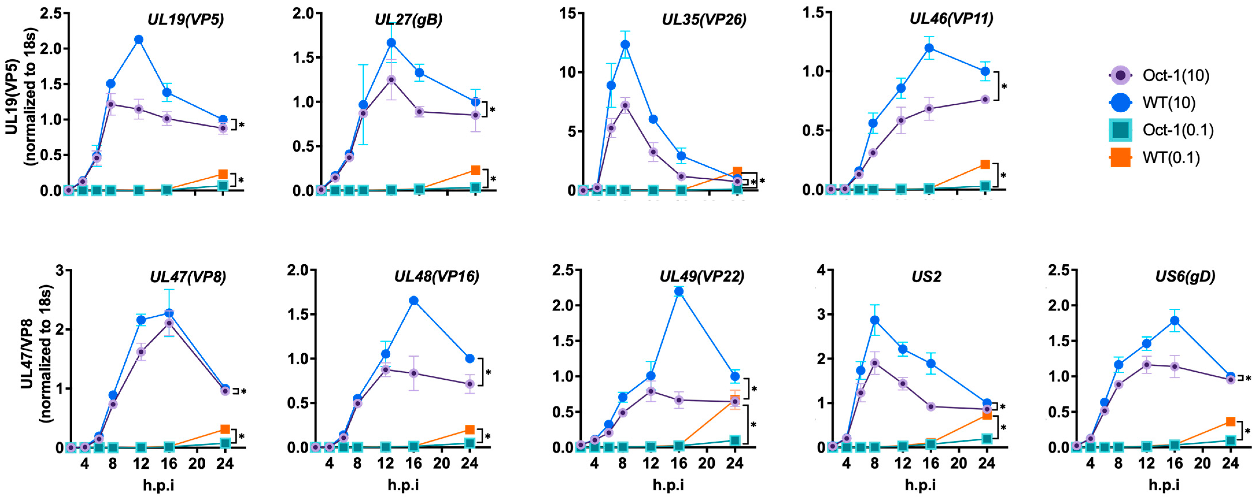 Viruses 16 01549 g006