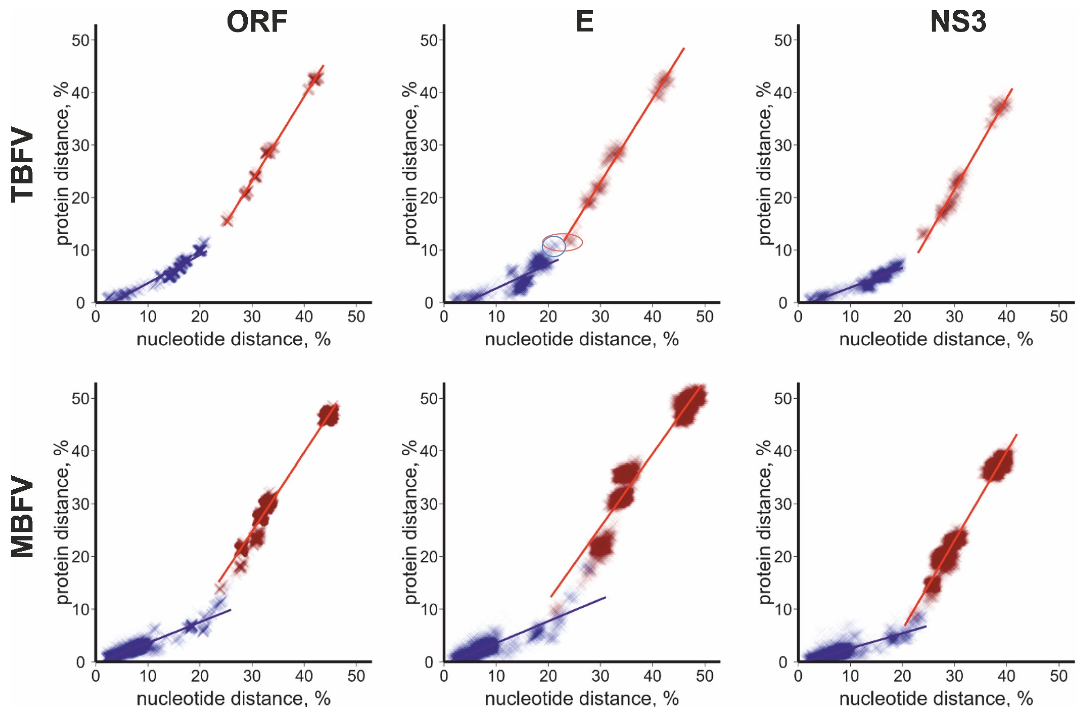 Viruses 16 01554 g001