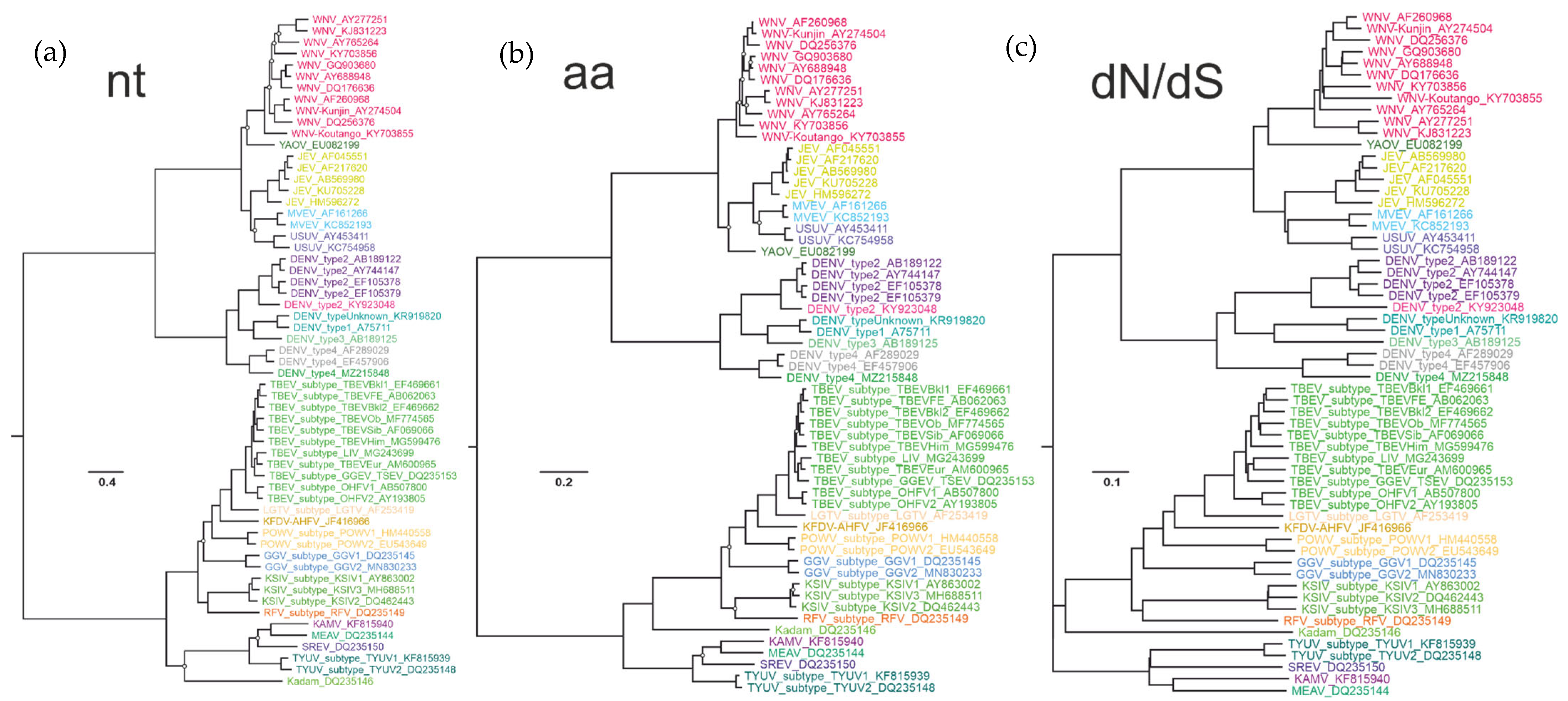 Viruses 16 01554 g003