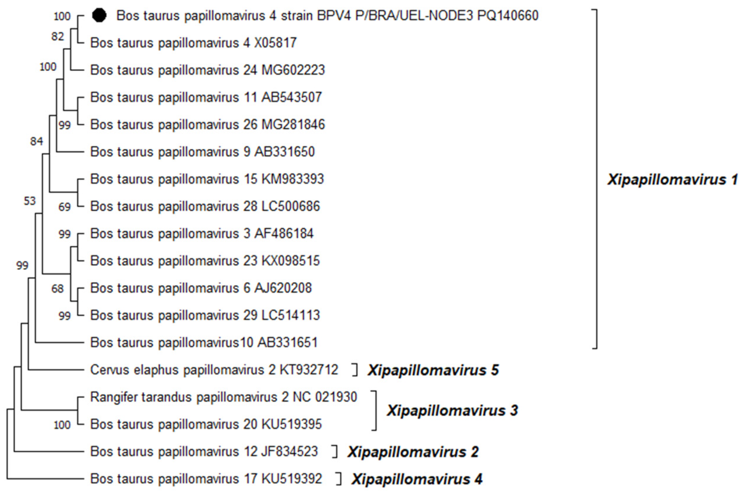Viruses 16 01558 g002
