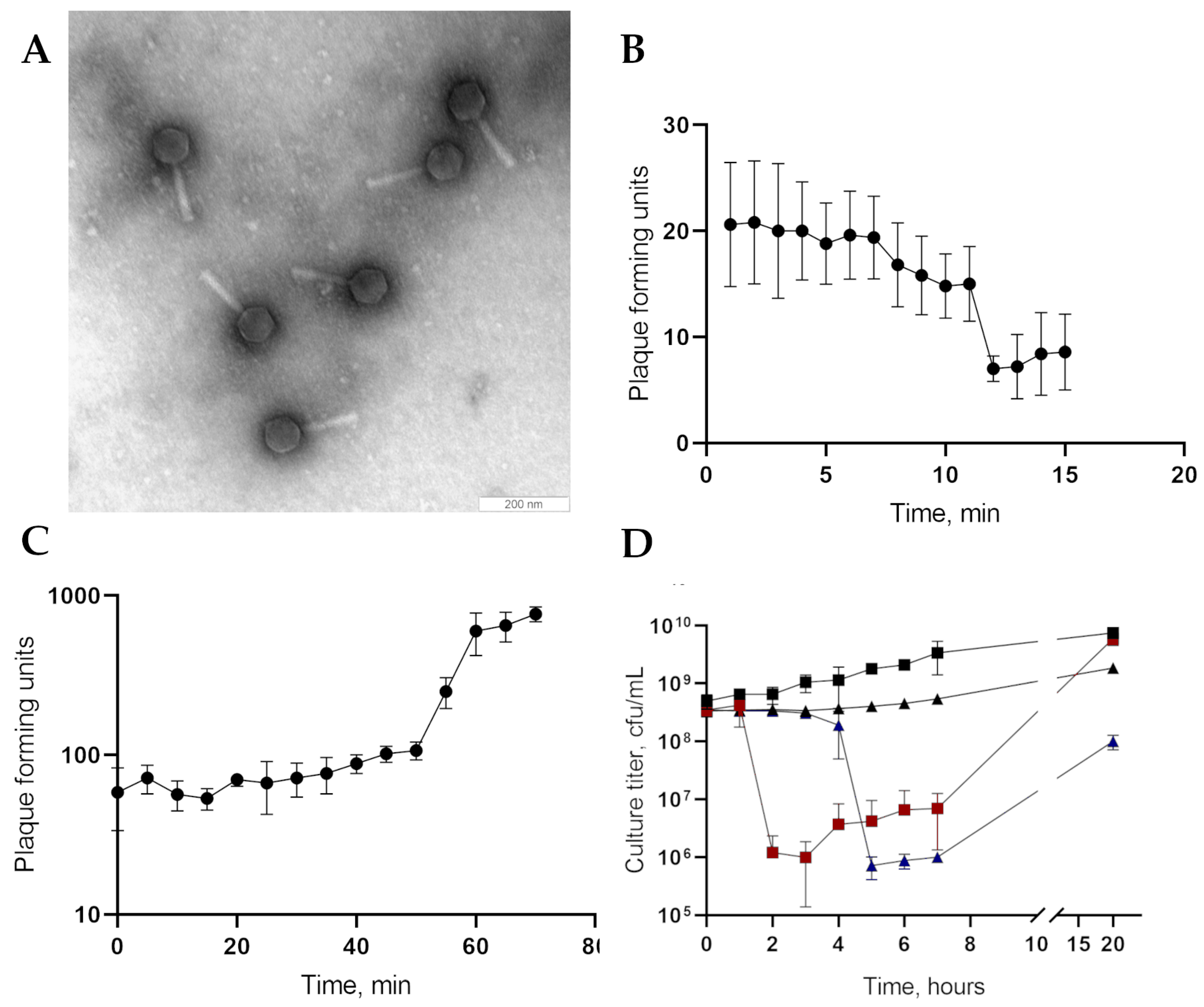 Viruses 16 01561 g001
