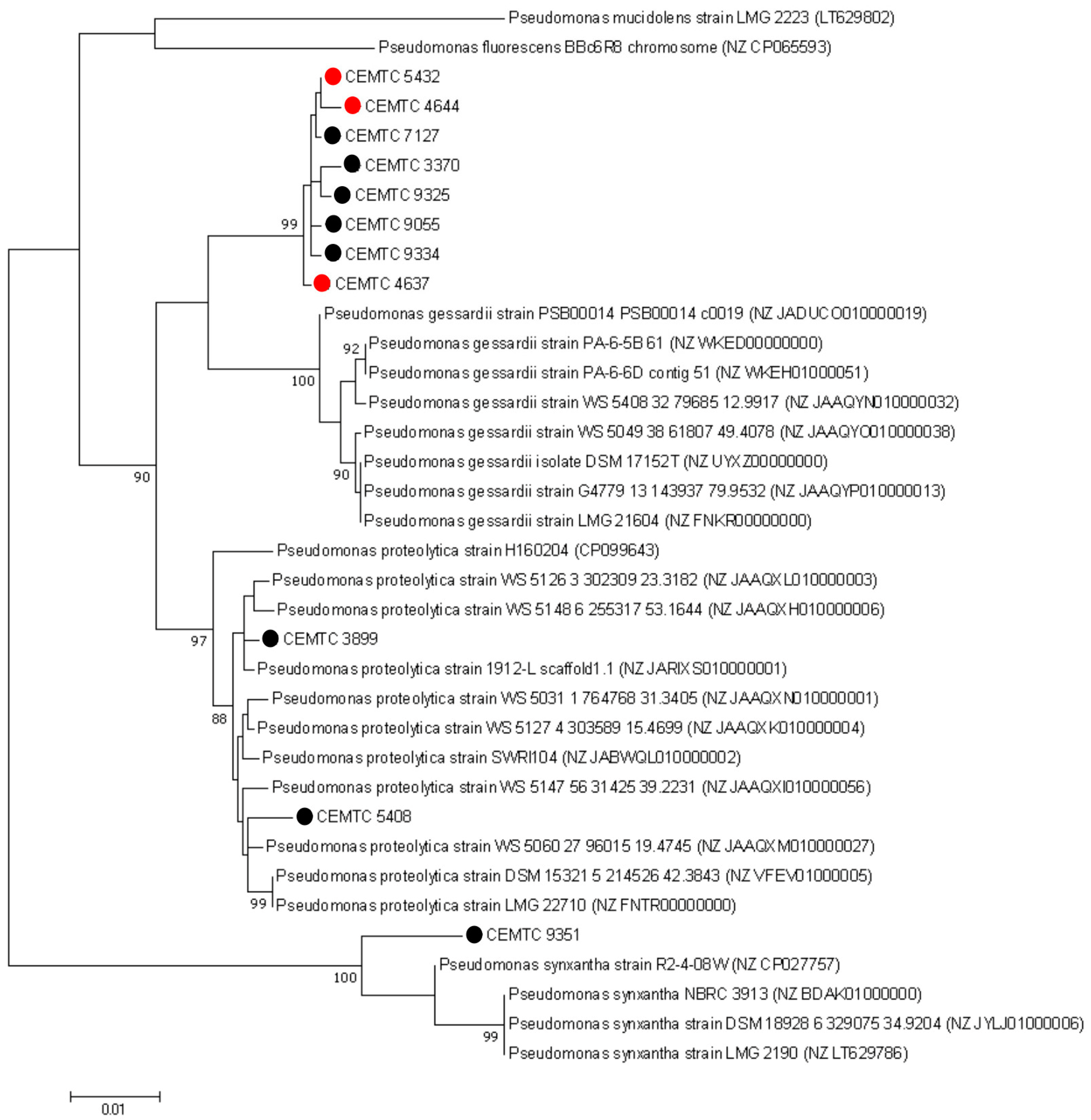 Viruses 16 01561 g002