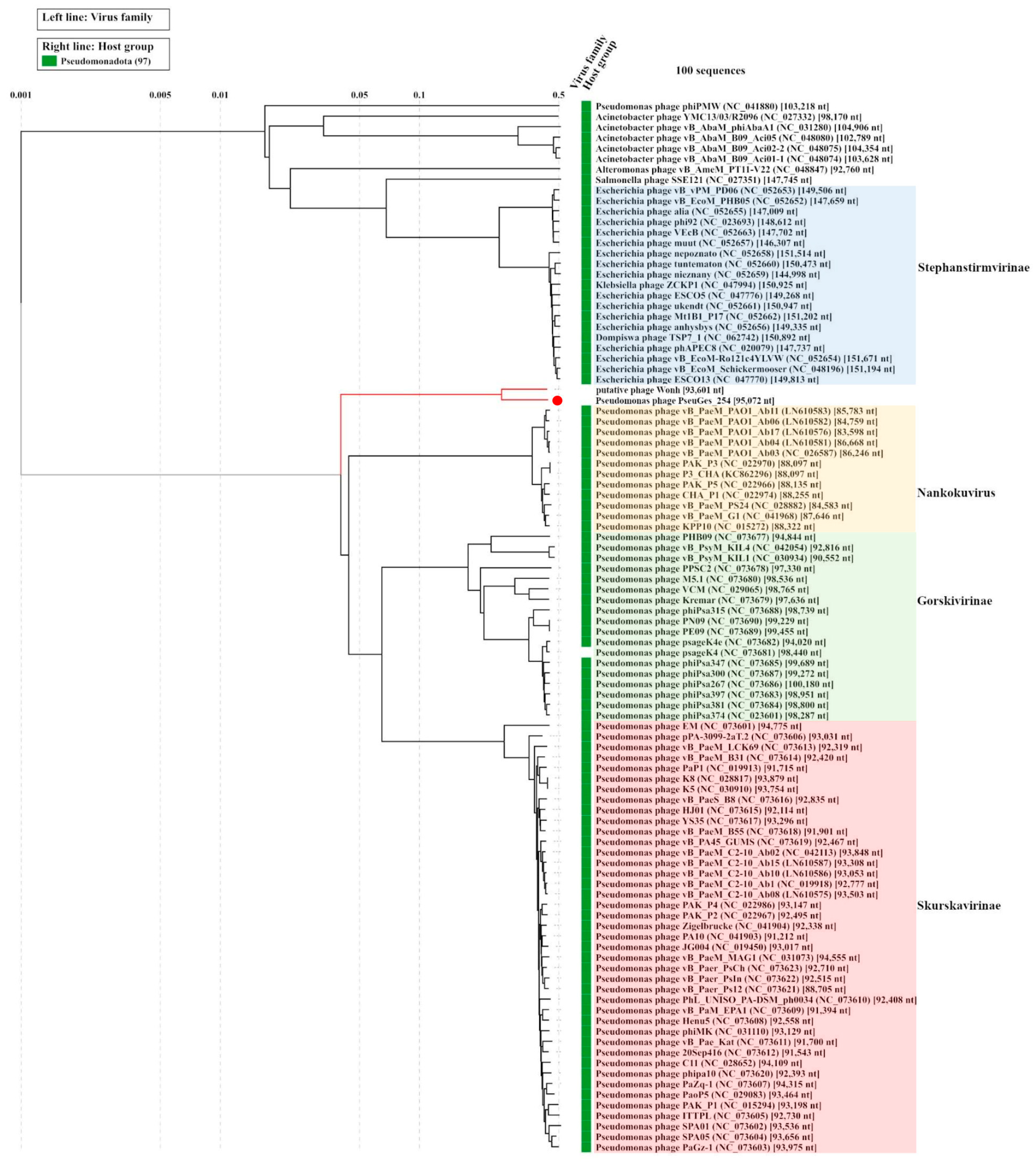 Viruses 16 01561 g006
