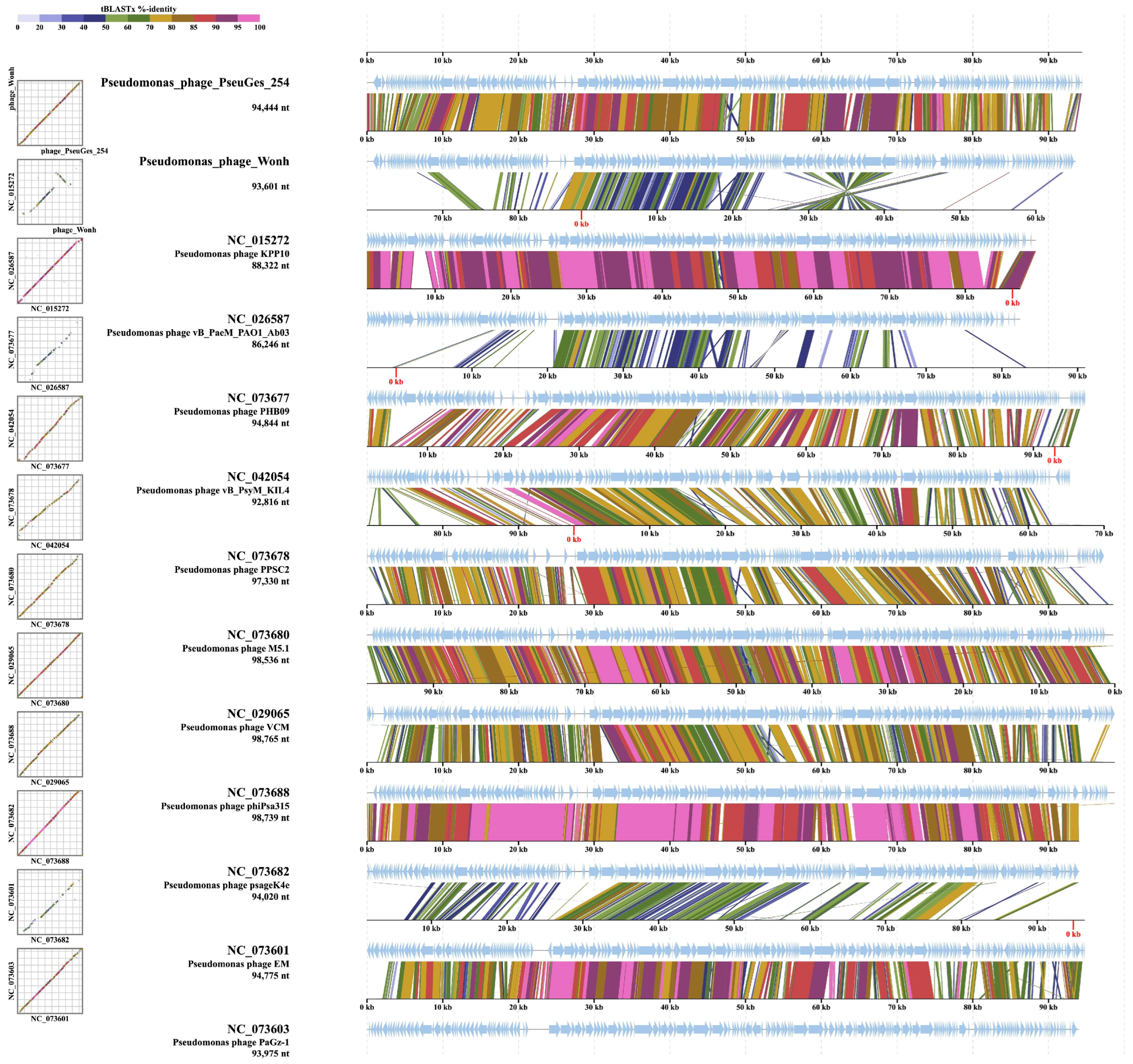 Viruses 16 01561 g007