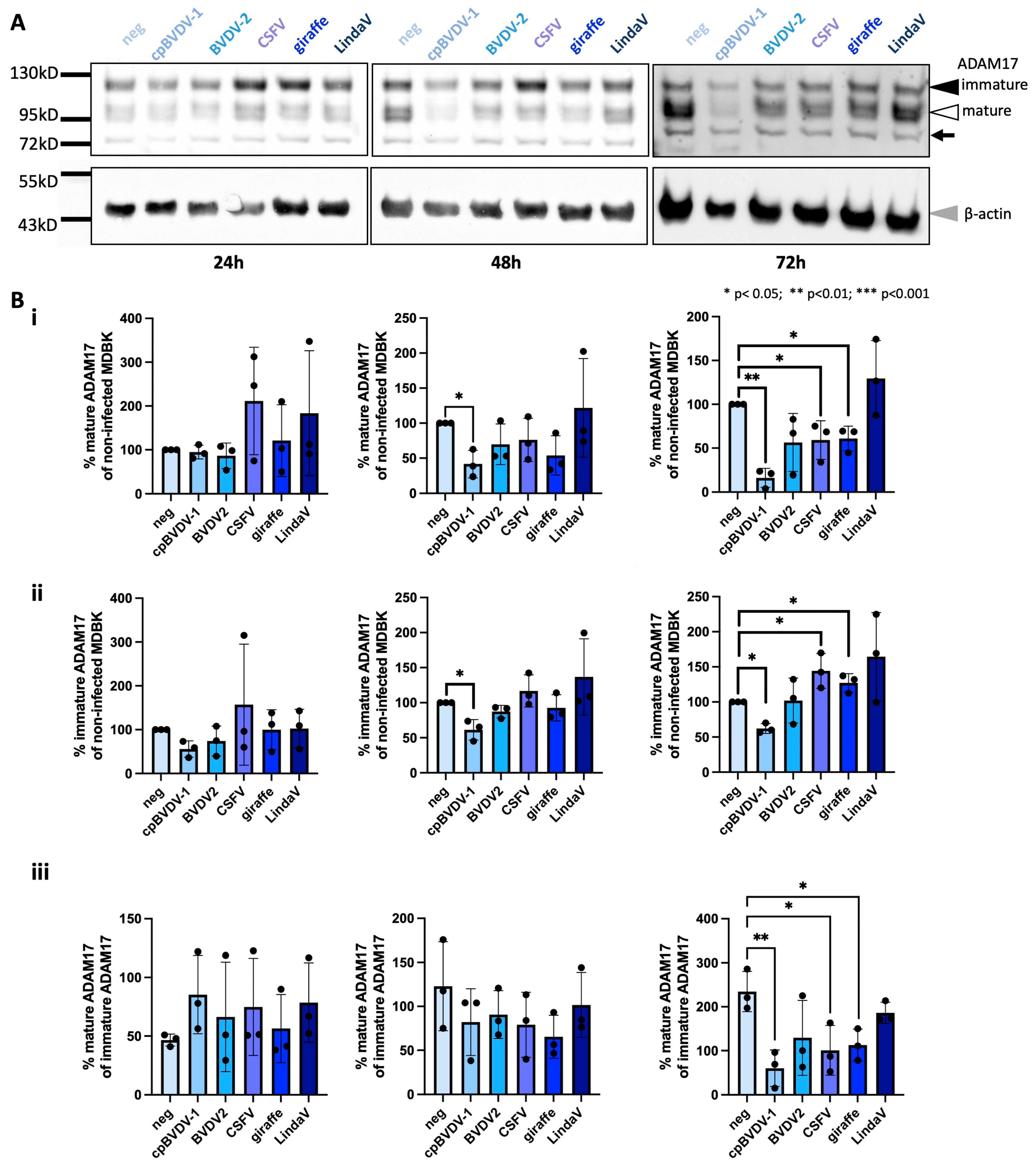 Viruses 16 01564 g001