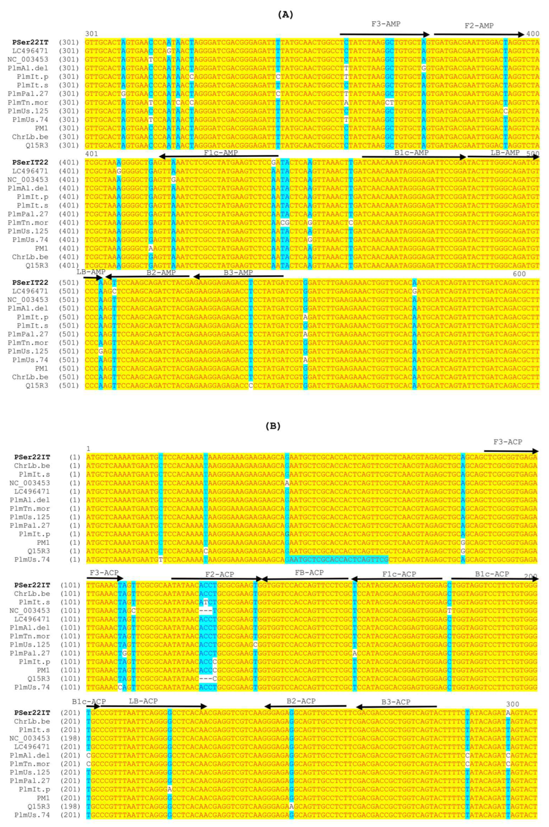 Viruses 16 01572 g004