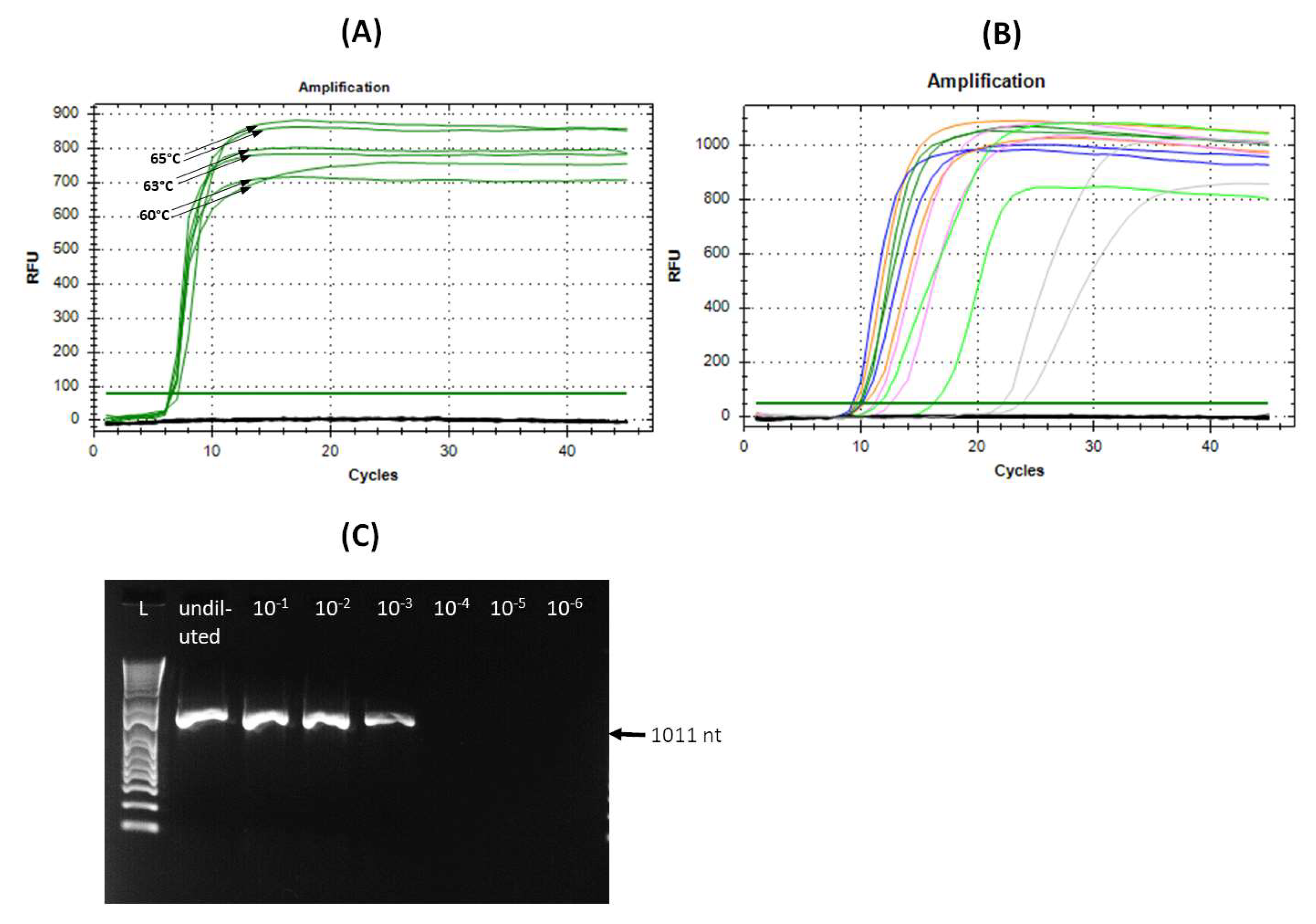Viruses 16 01572 g005