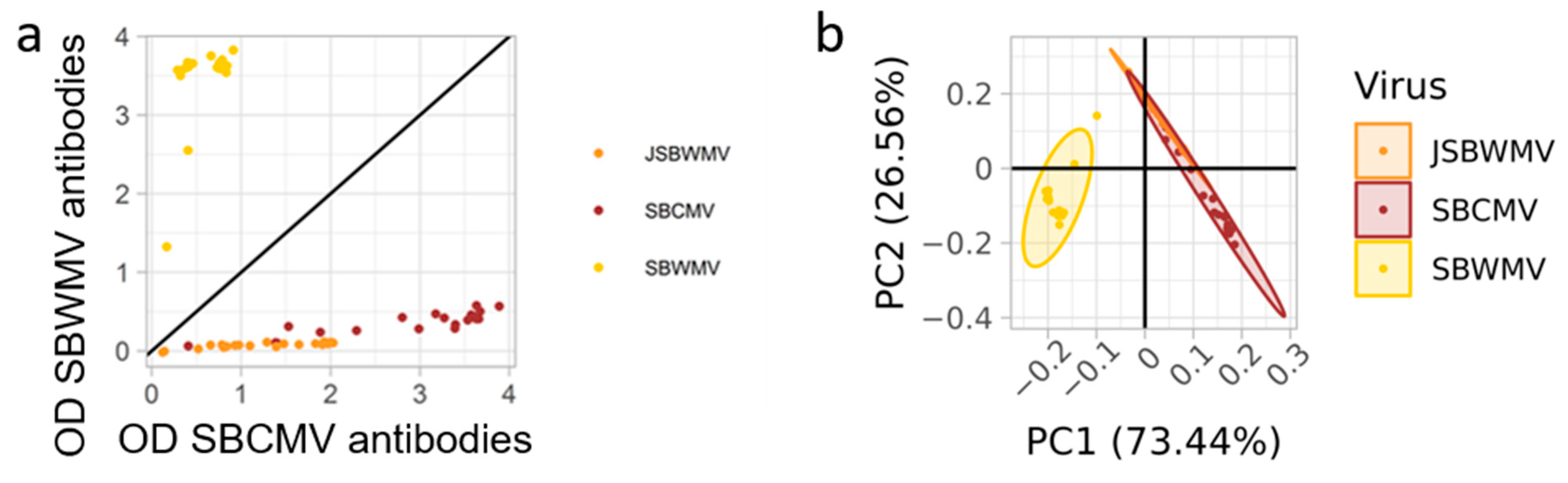Viruses 16 01579 g001