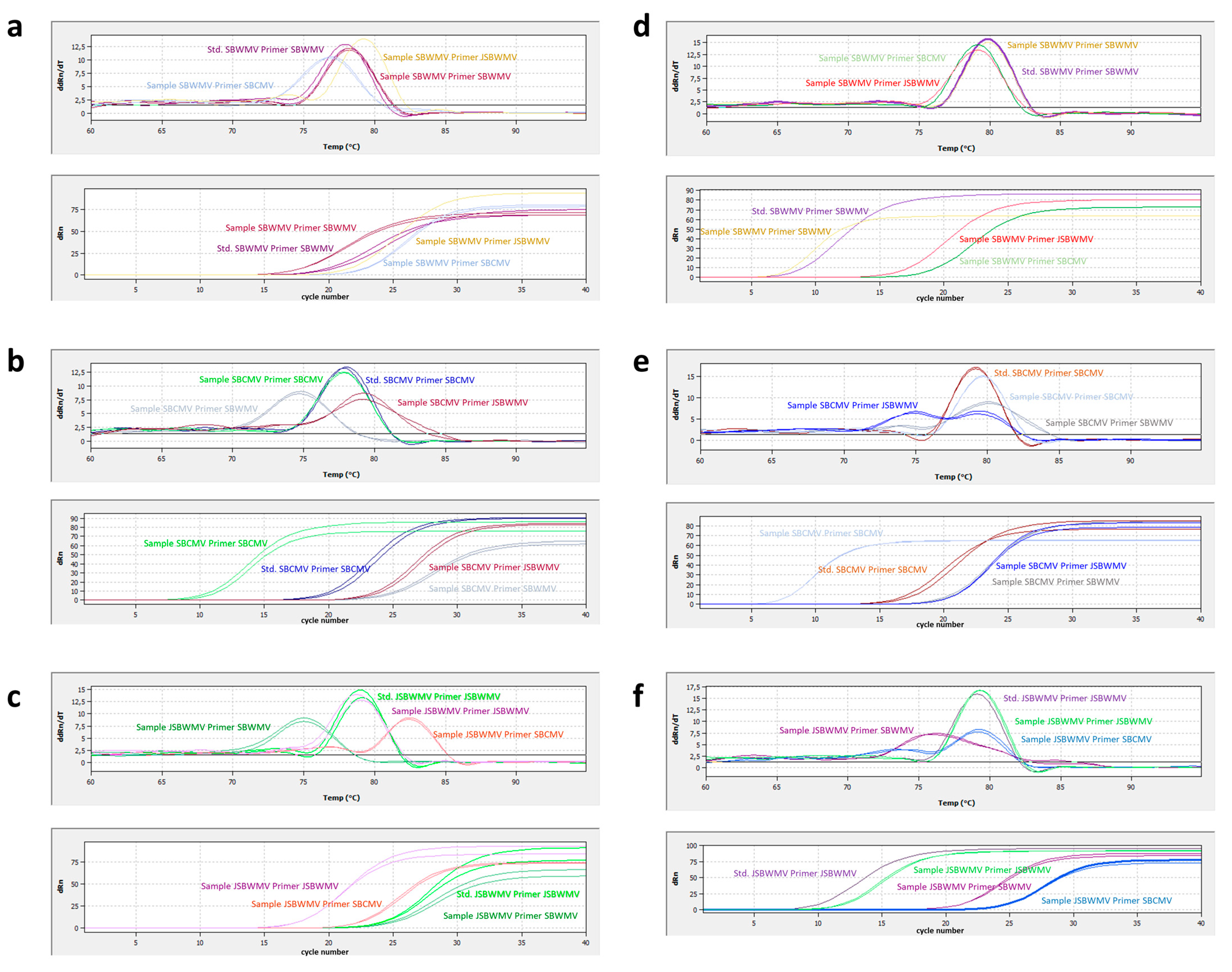 Viruses 16 01579 g004