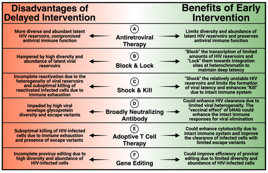 Interventions during Early Infection: Opening a Window for an HIV Cure?
