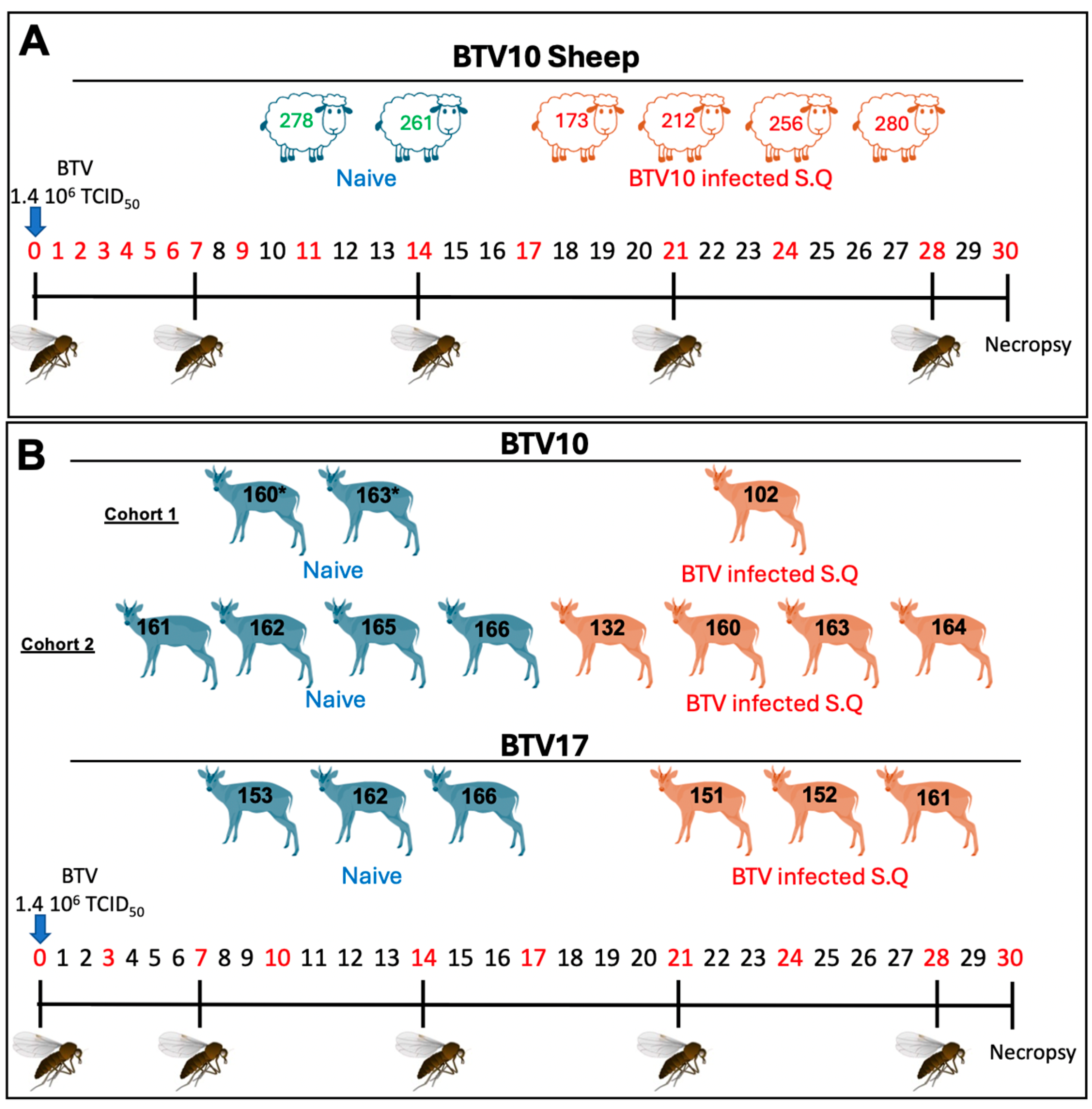 Viruses 16 01593 g001