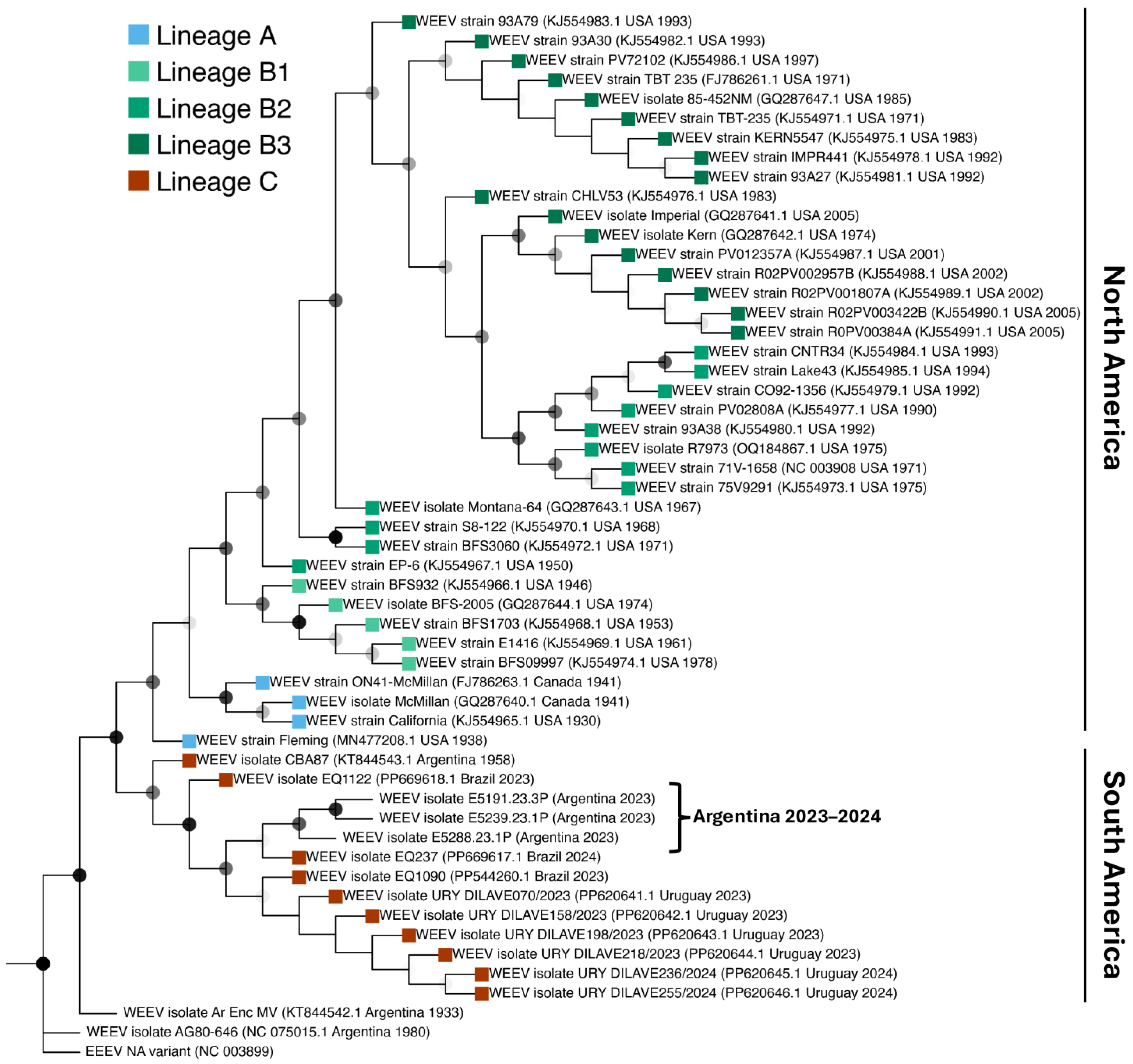 Viruses 16 01594 g002