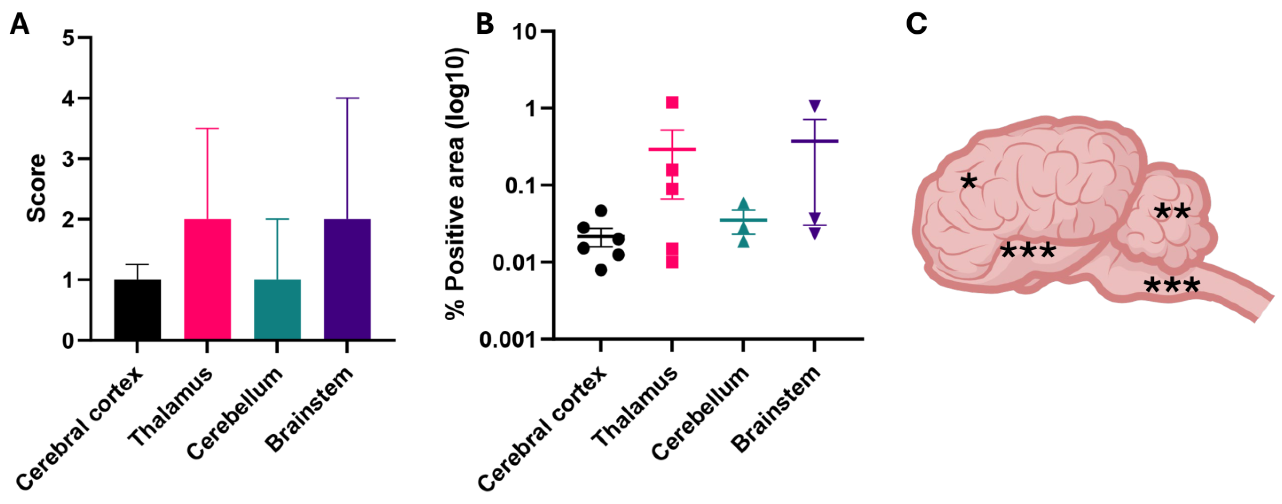 Viruses 16 01594 g006
