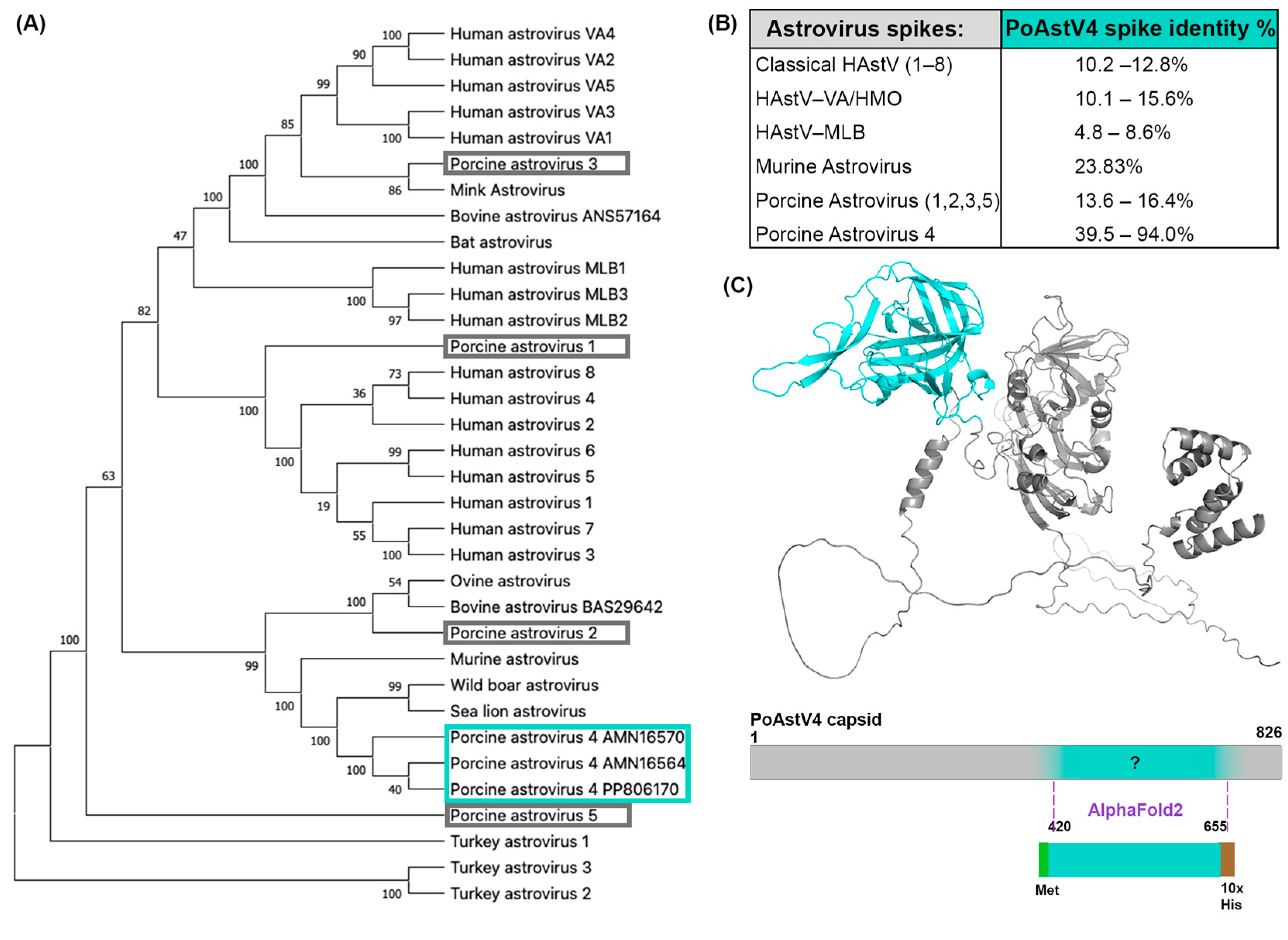 Viruses 16 01596 g001