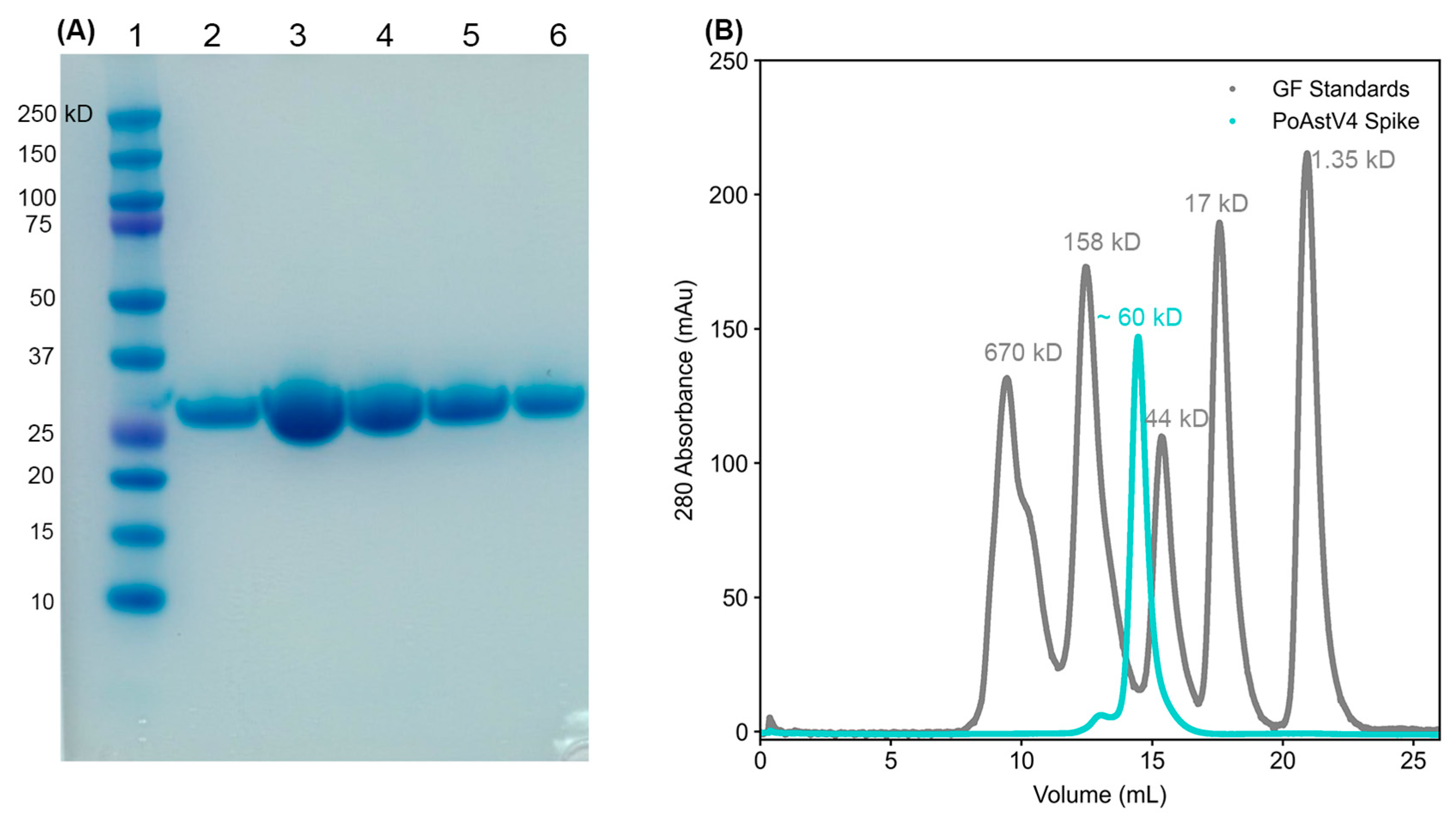 Viruses 16 01596 g002