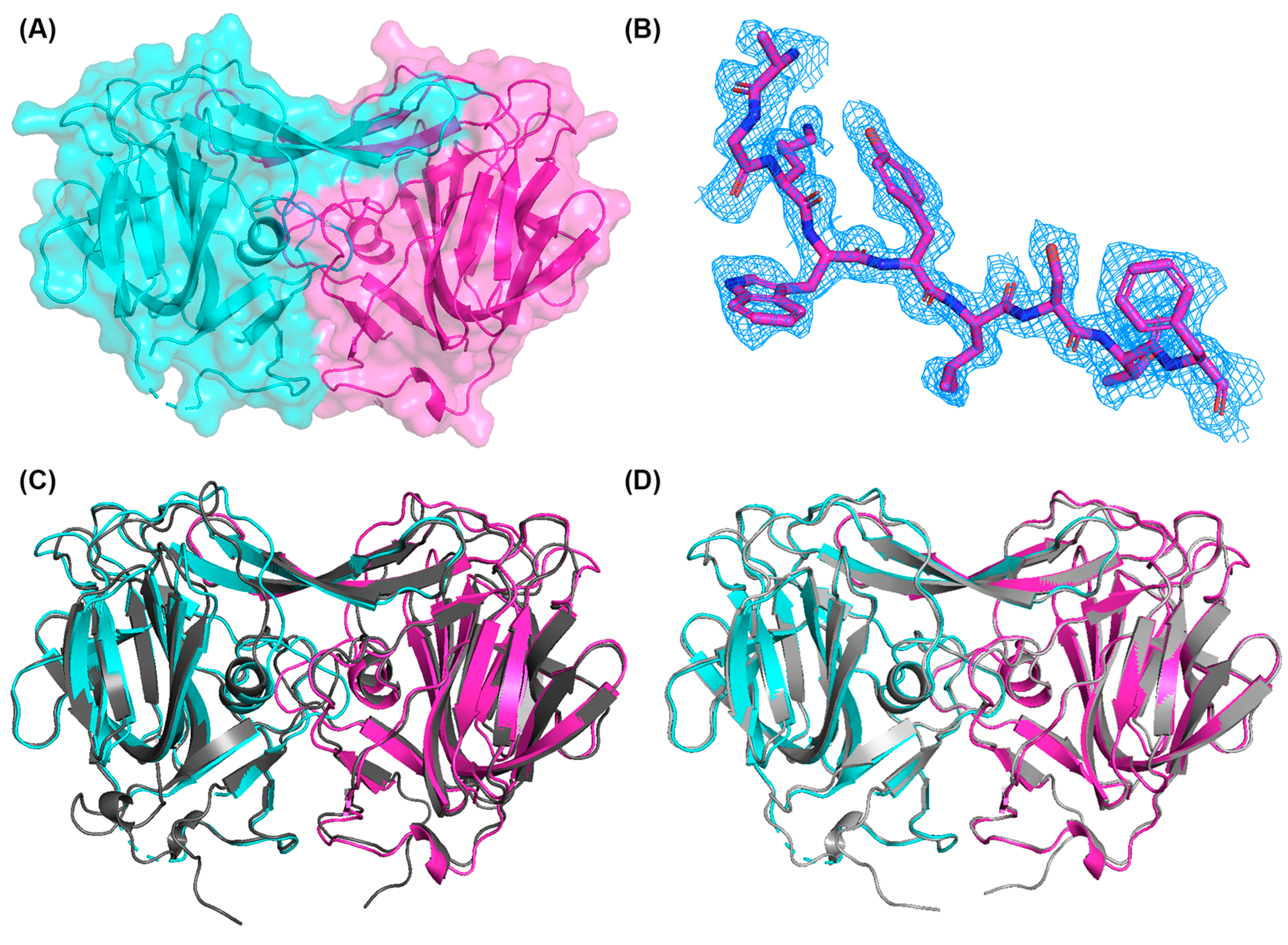 Viruses 16 01596 g003