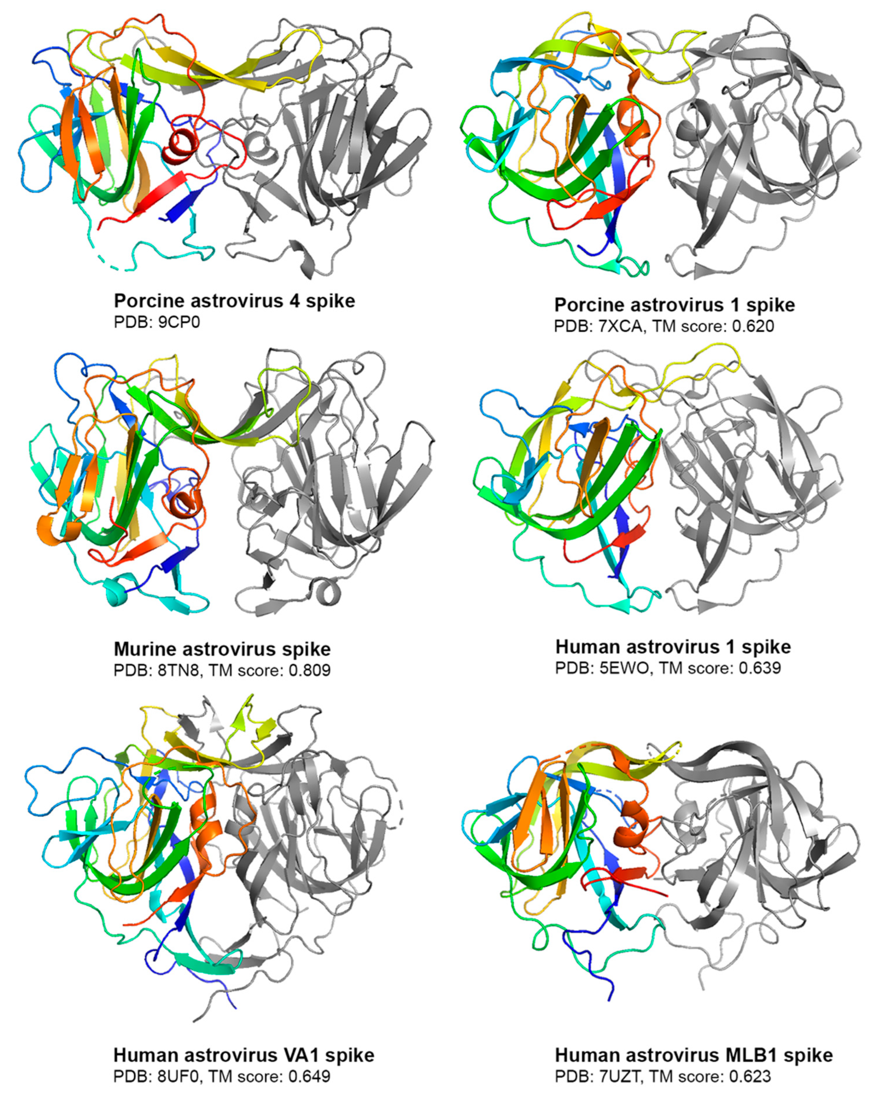 Viruses 16 01596 g004