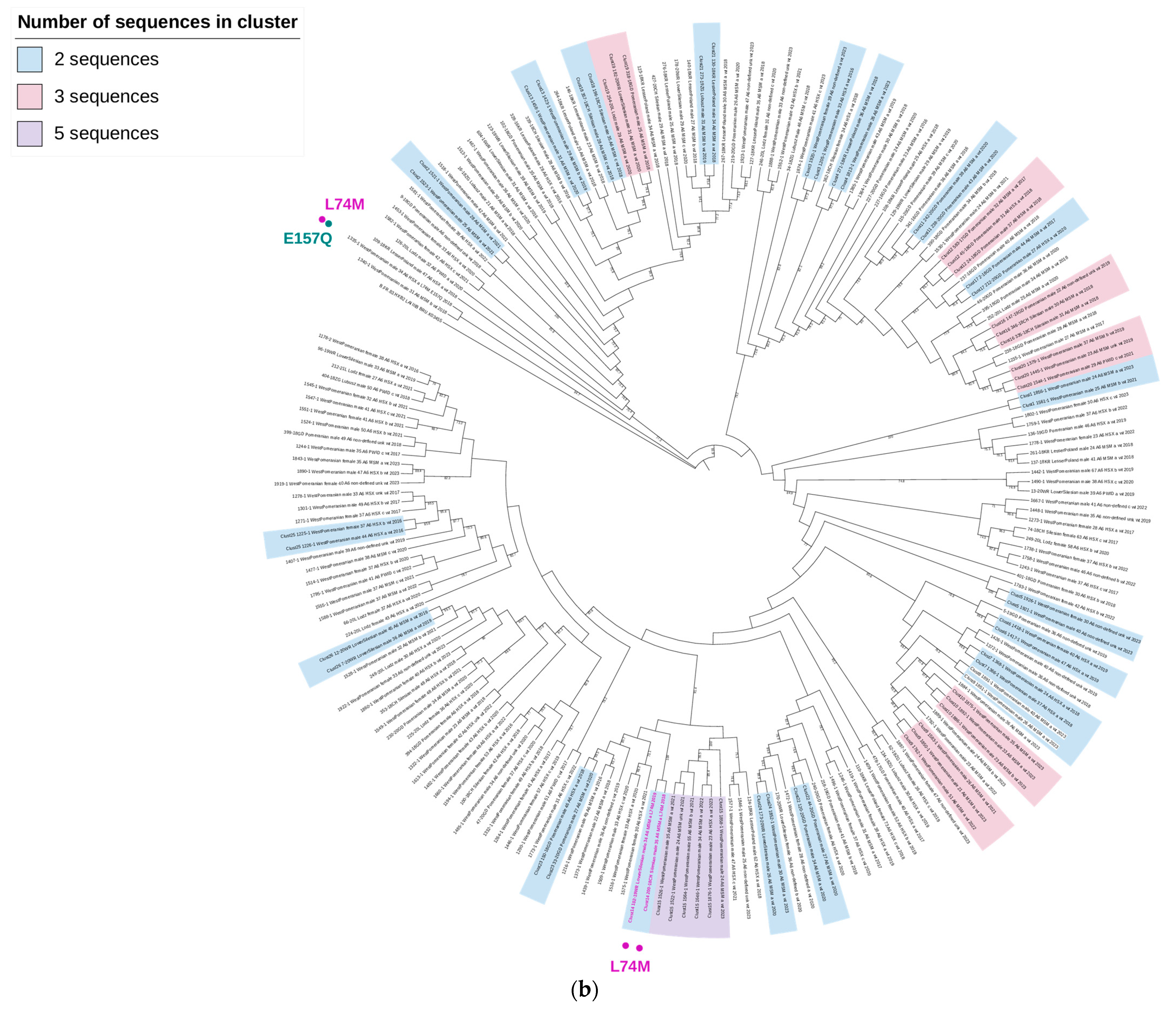 Viruses 16 01597 g004b