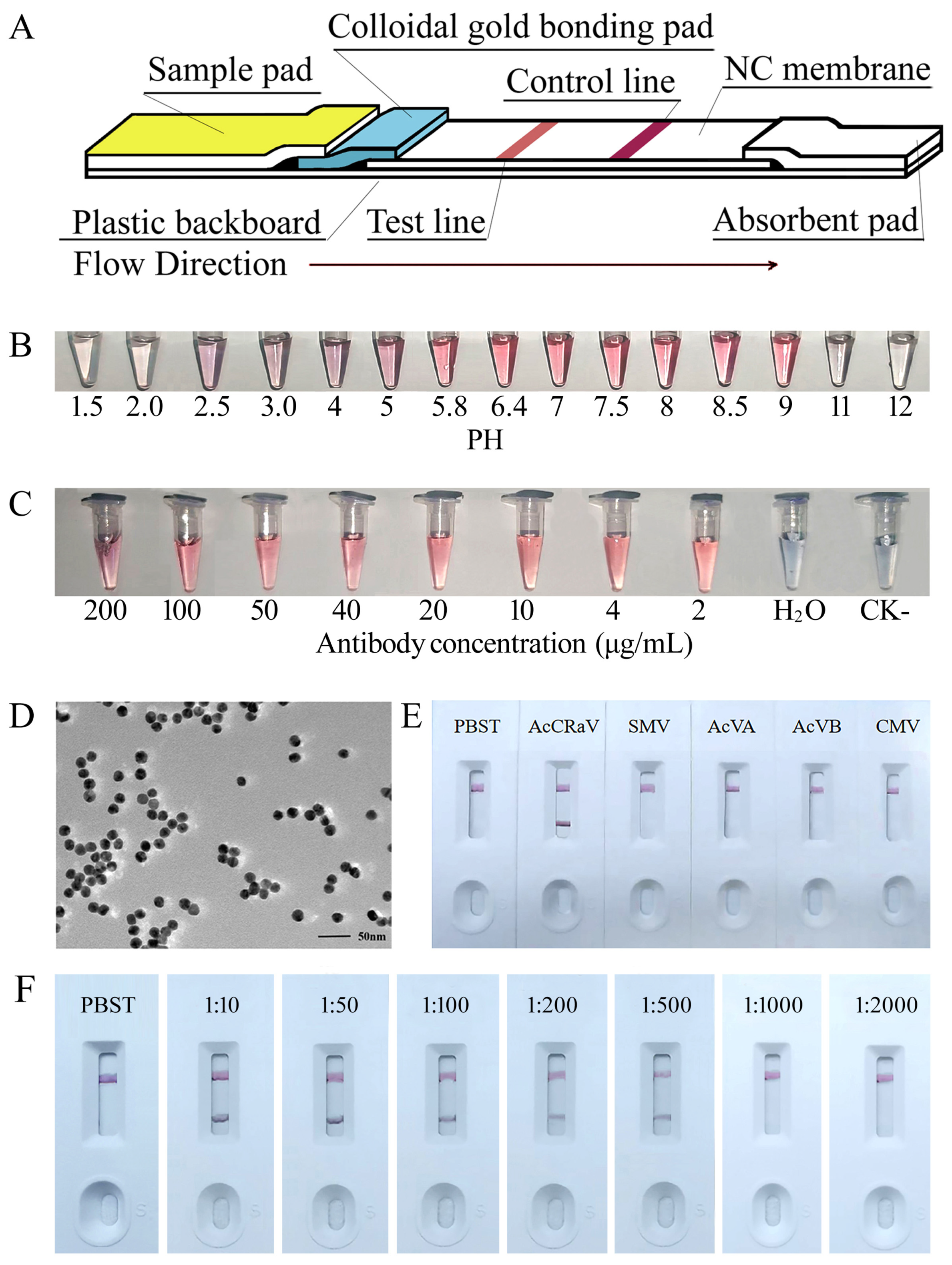 Viruses 16 01600 g006