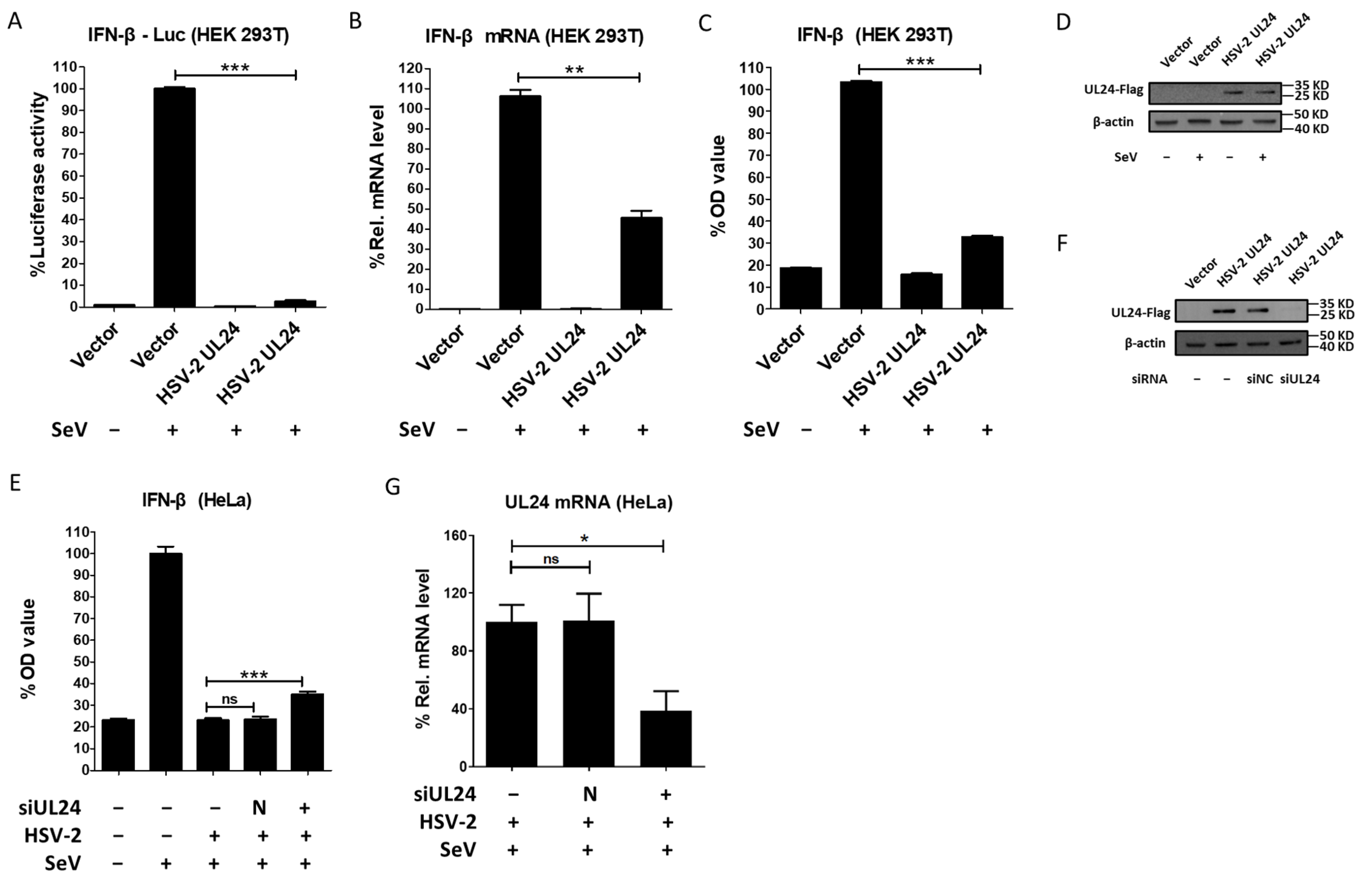 Viruses 16 01601 g001