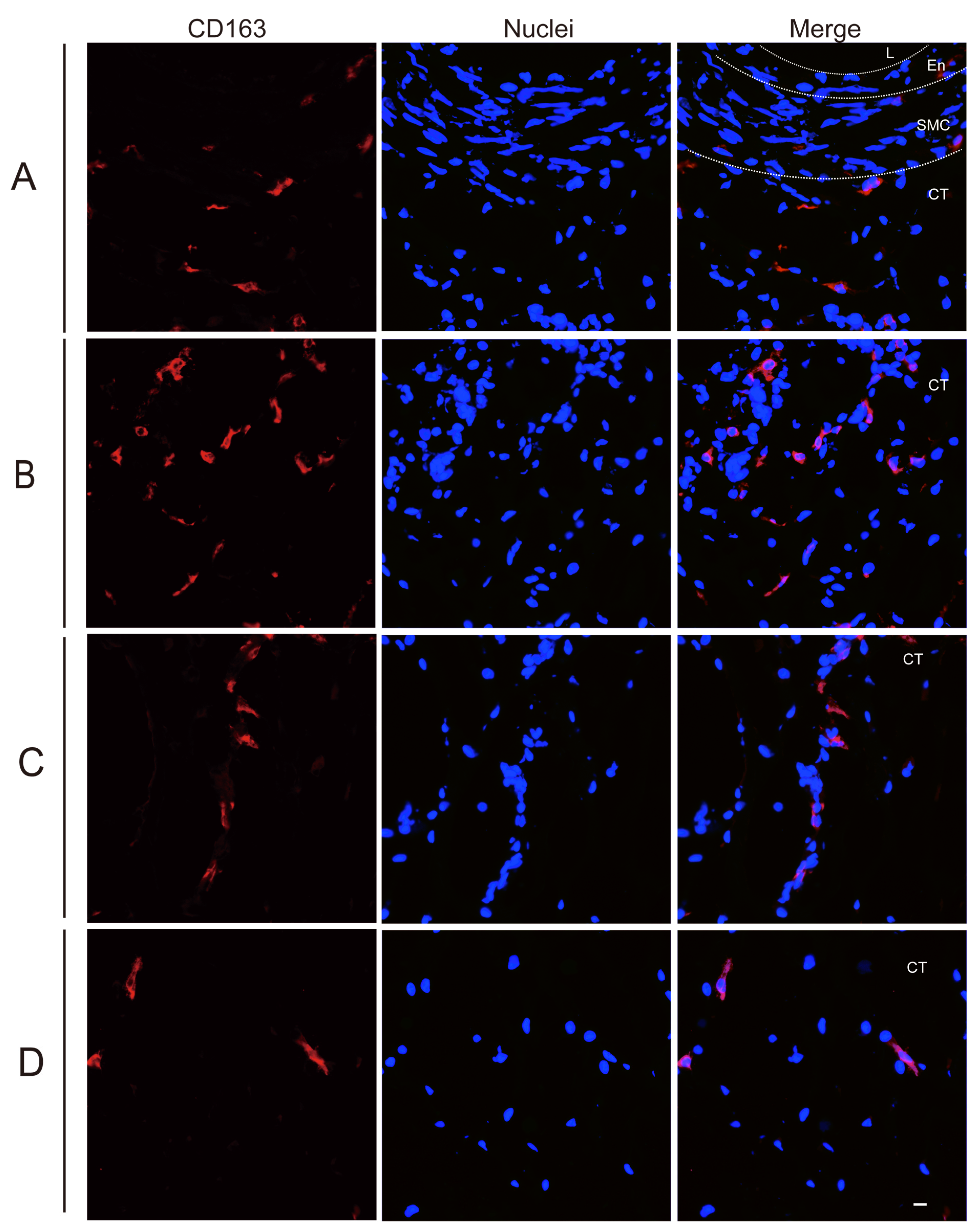 Viruses 16 01602 g002
