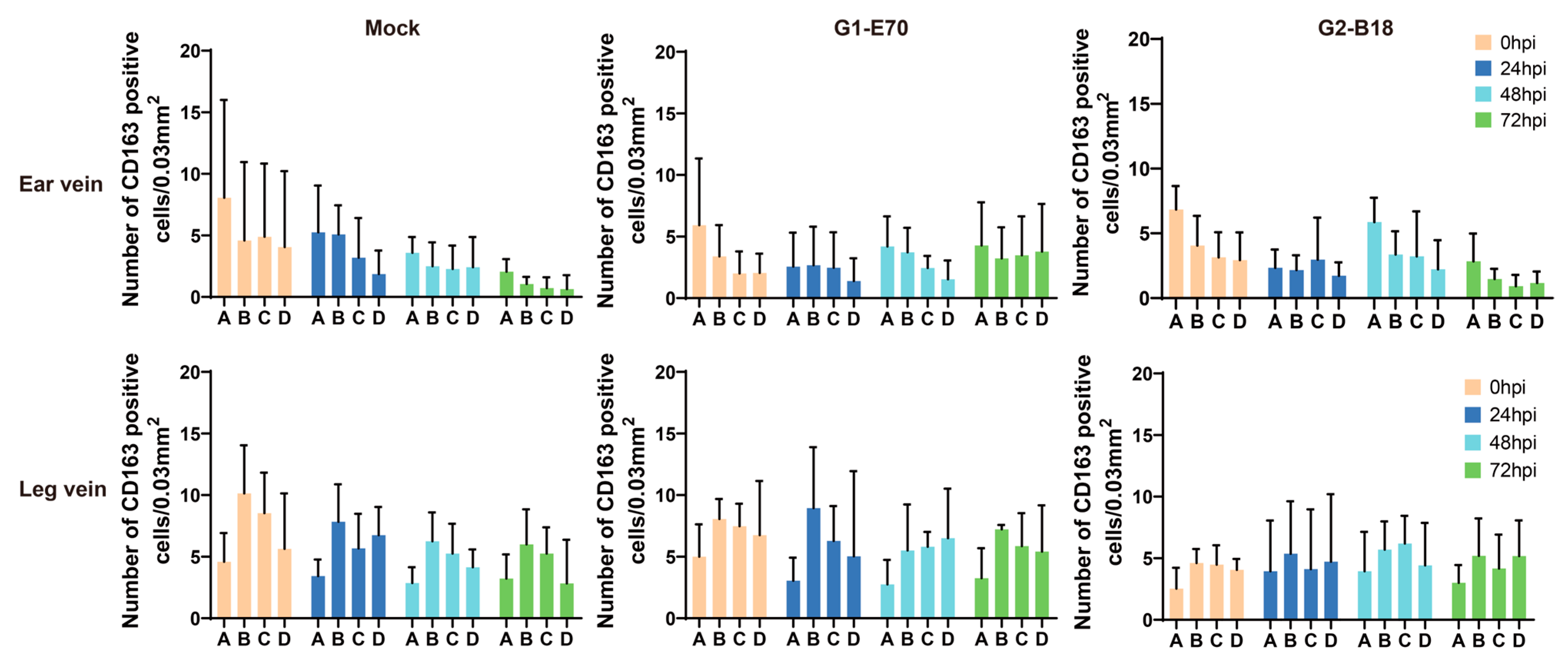 Viruses 16 01602 g004