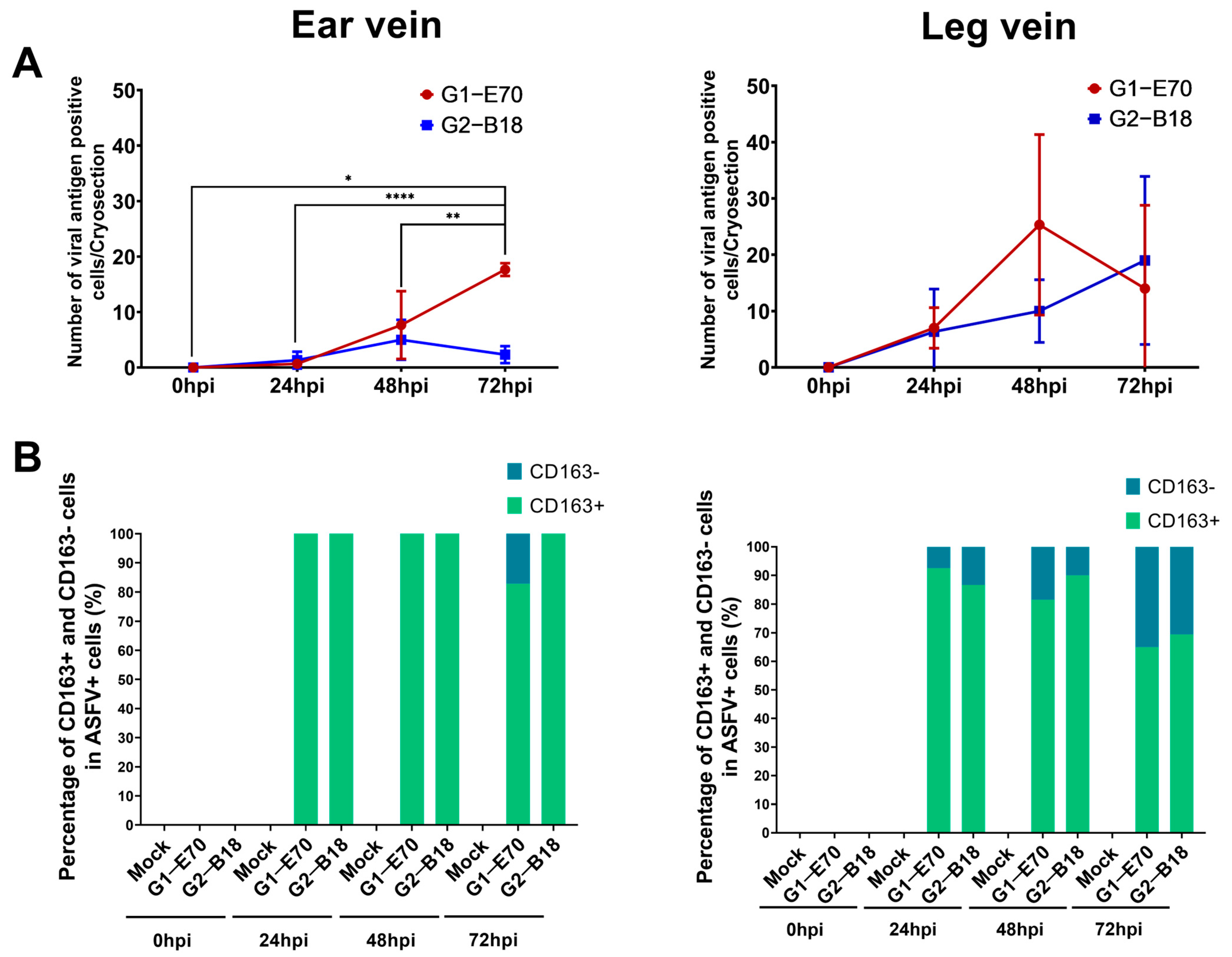 Viruses 16 01602 g007