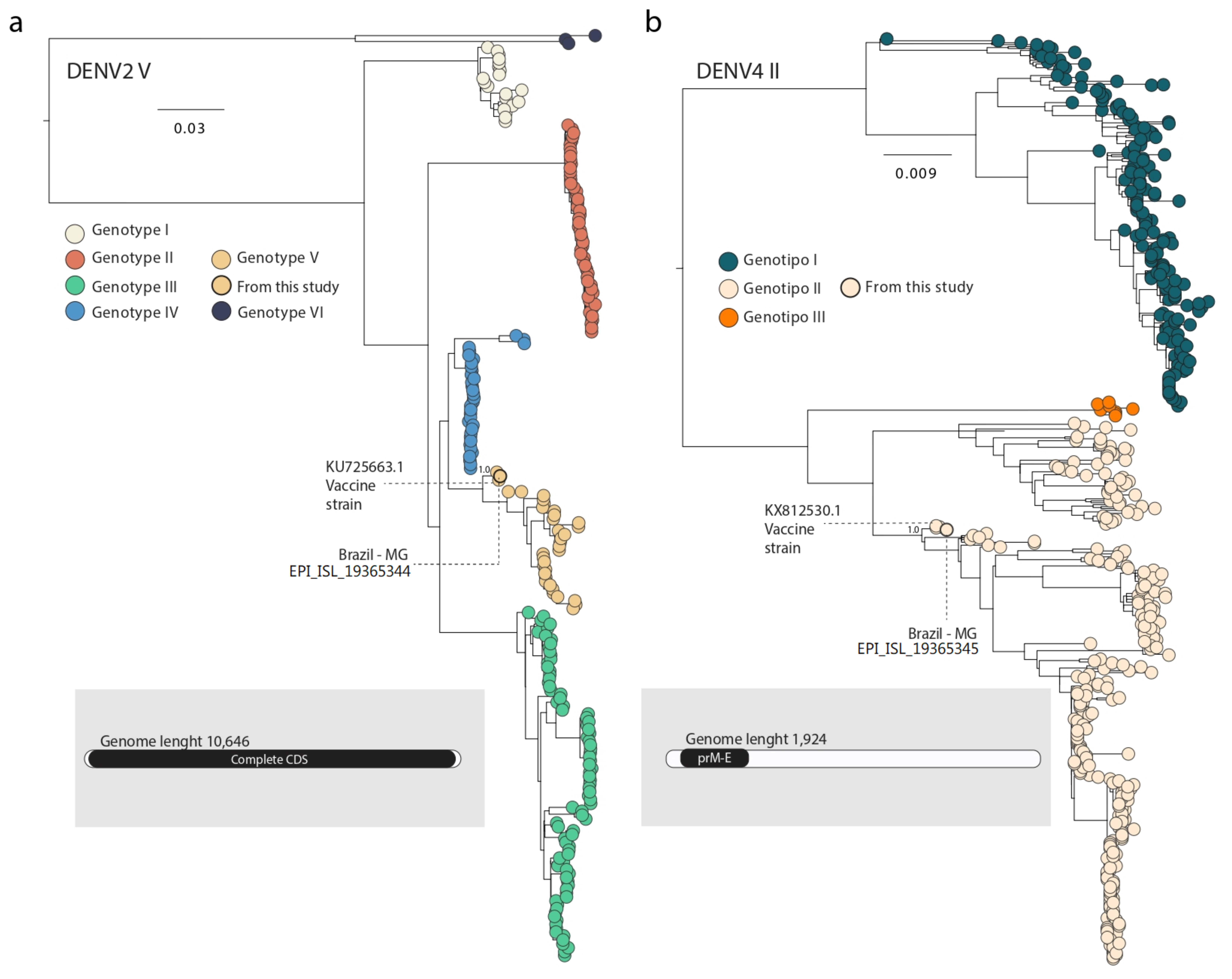 Viruses 16 01603 g001 Viruses 16 01603 g001