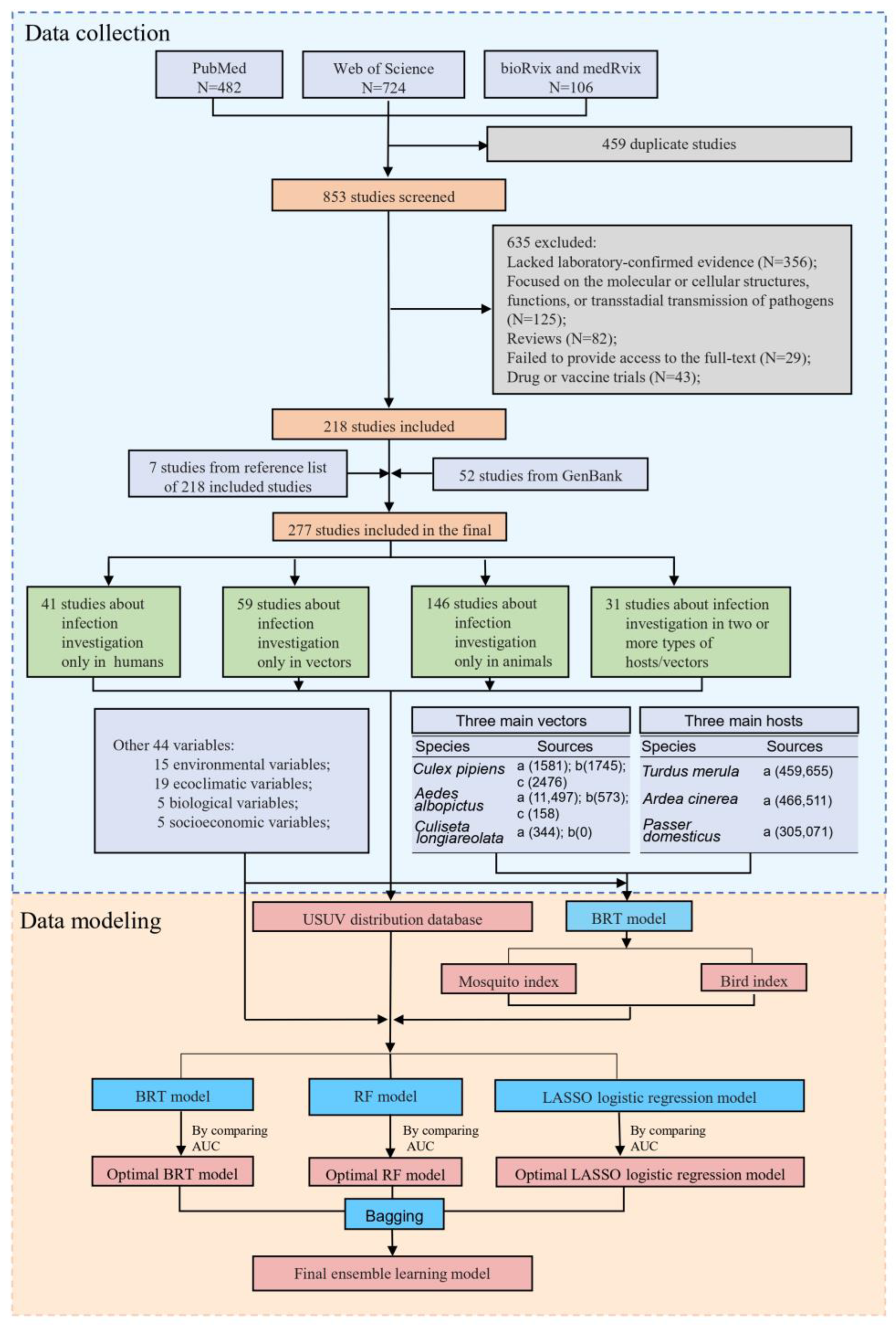 Viruses 16 01606 g001