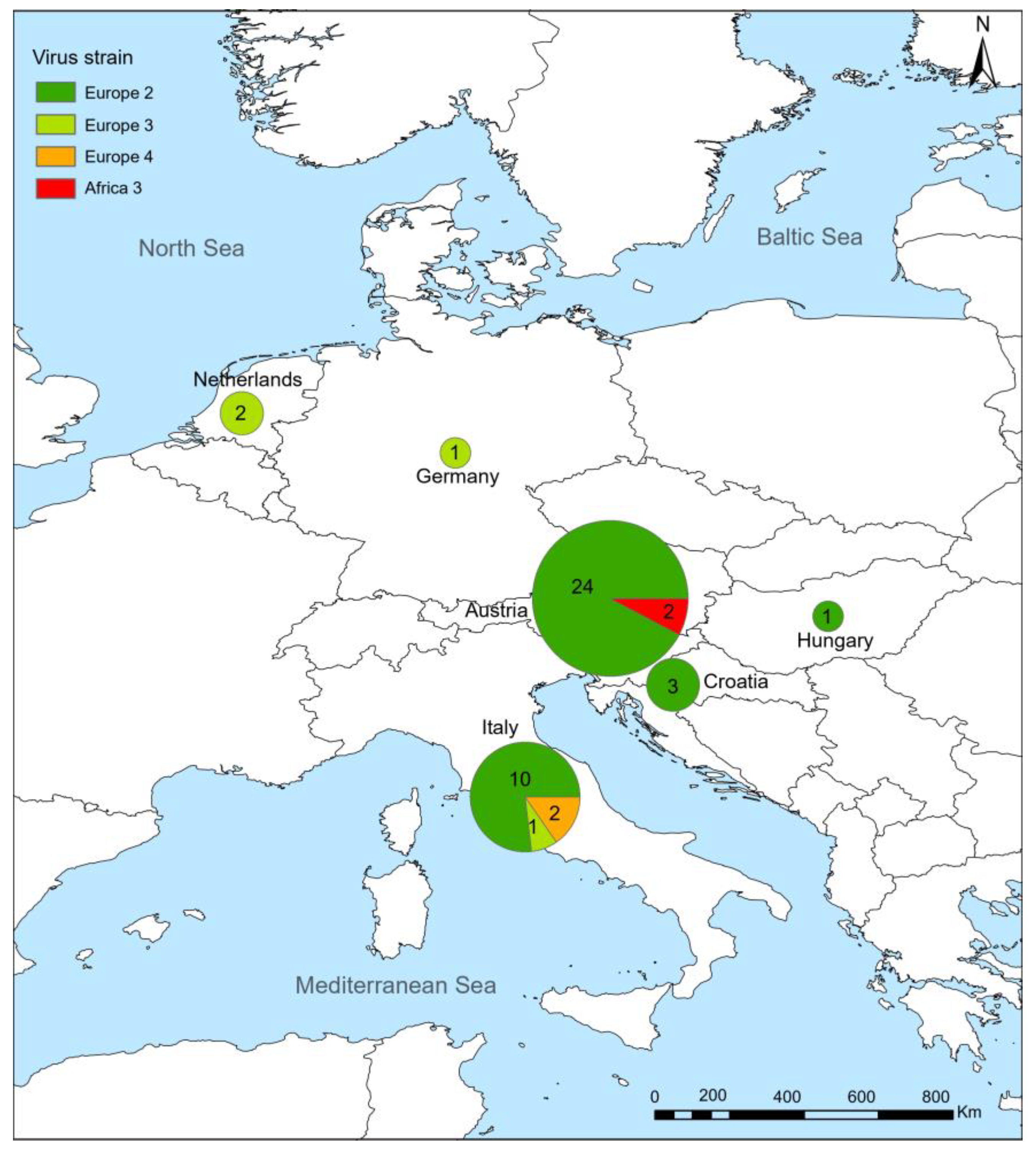 Viruses 16 01606 g002