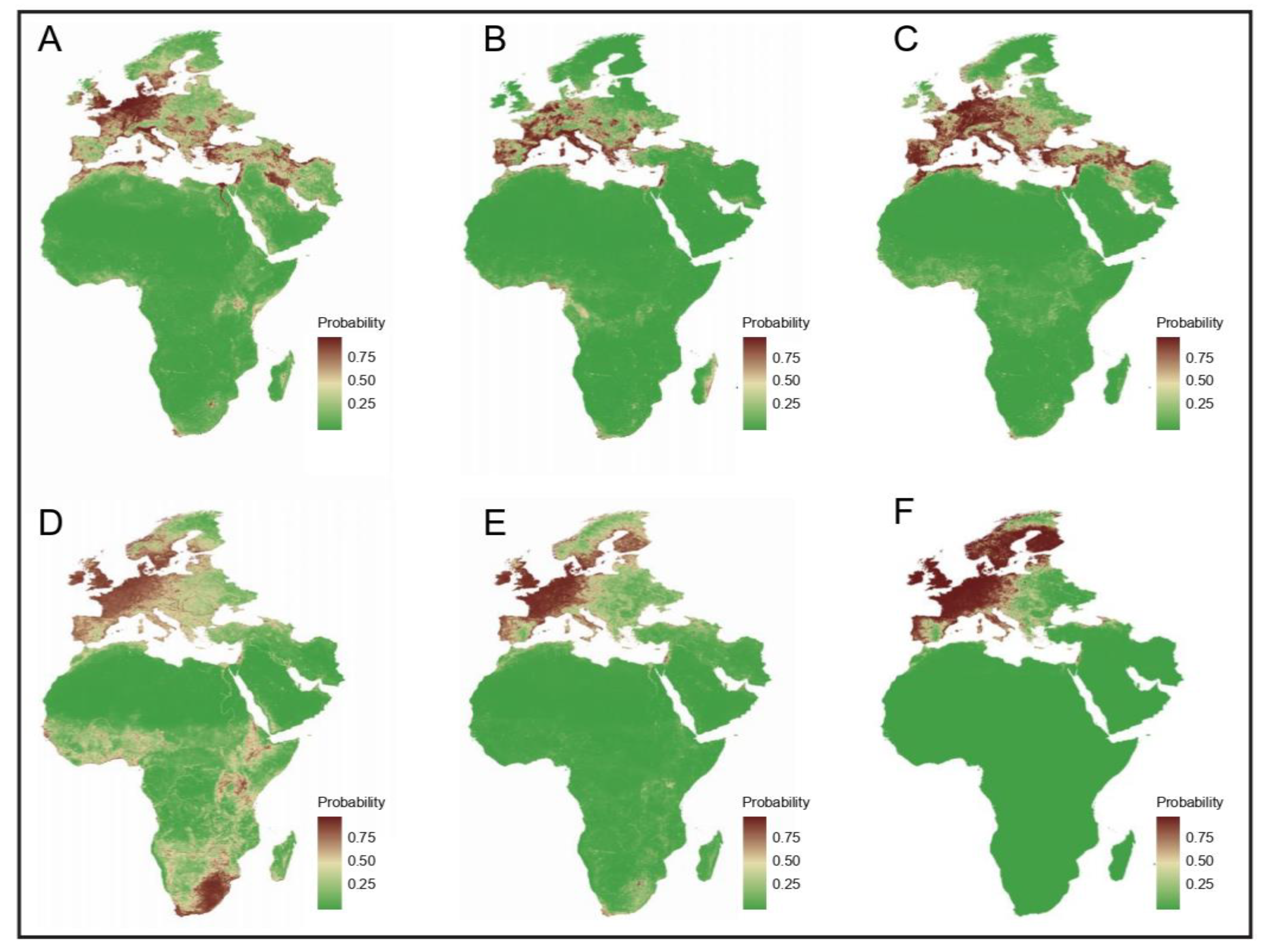 Viruses 16 01606 g005