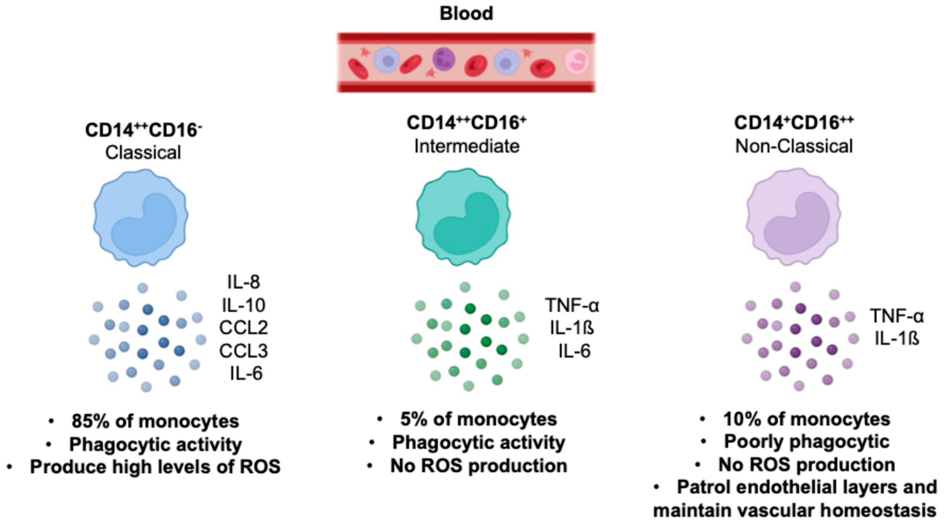 Viruses 16 01612 g003 Viruses 16 01612 g003