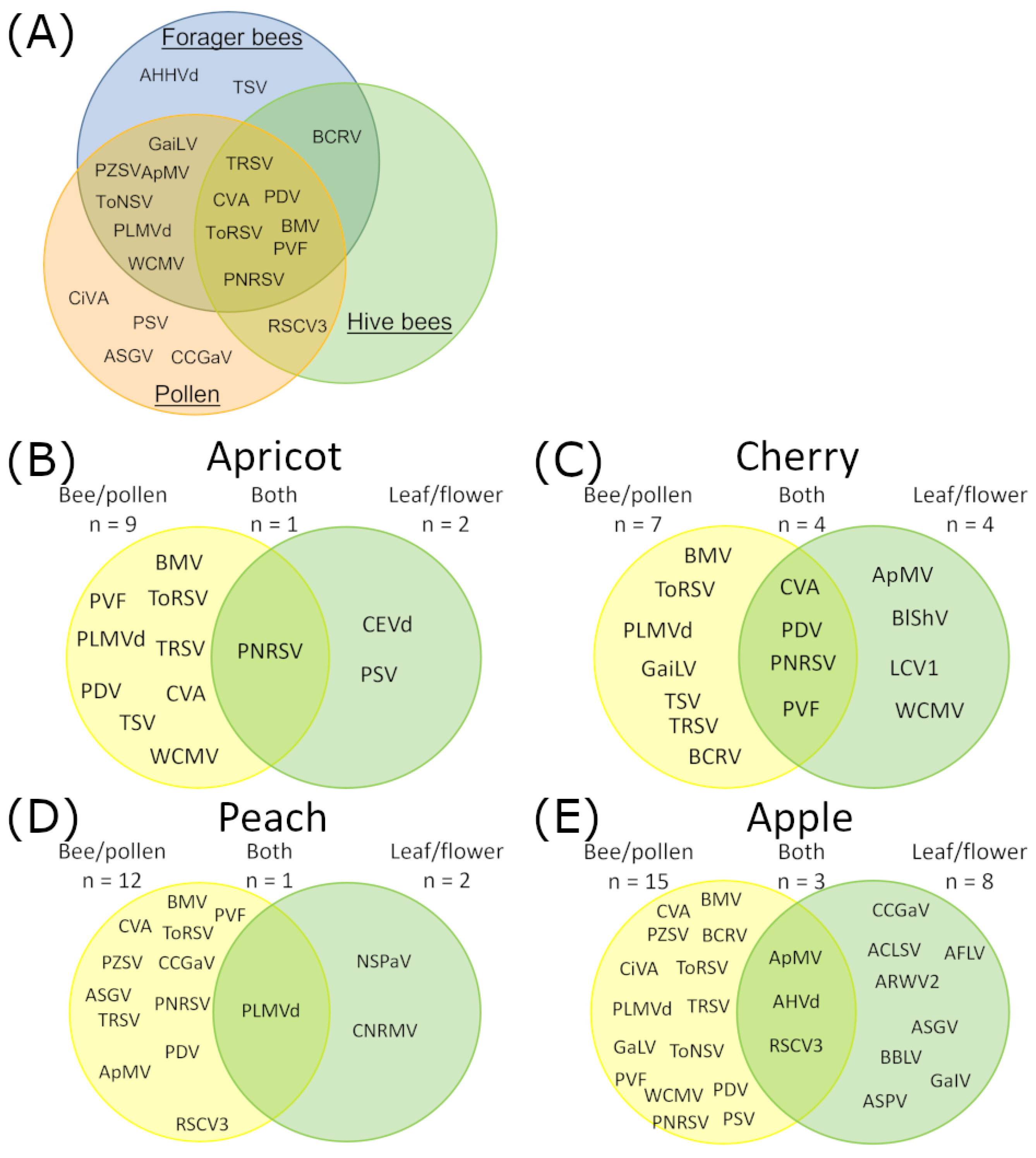 Viruses 16 01614 g003