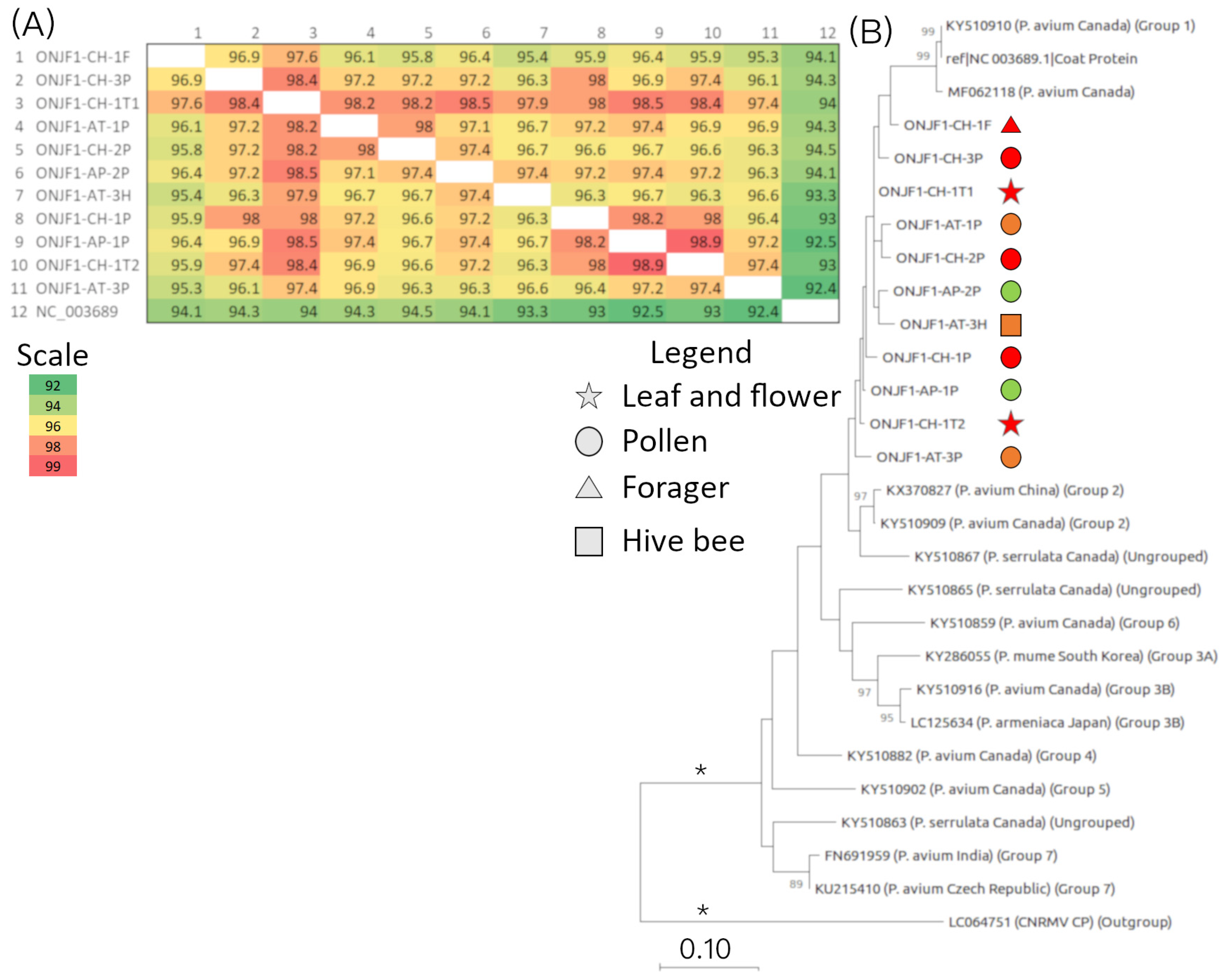 Viruses 16 01614 g004