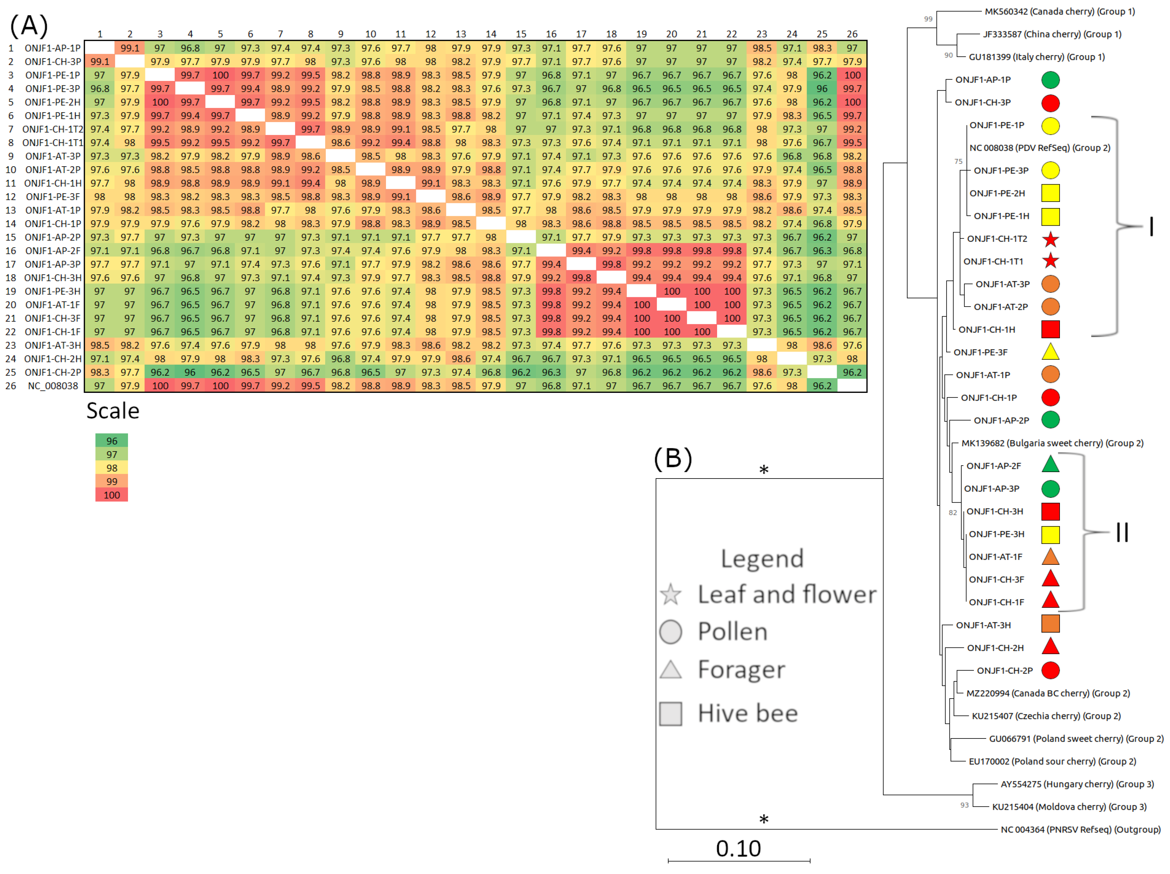 Viruses 16 01614 g005