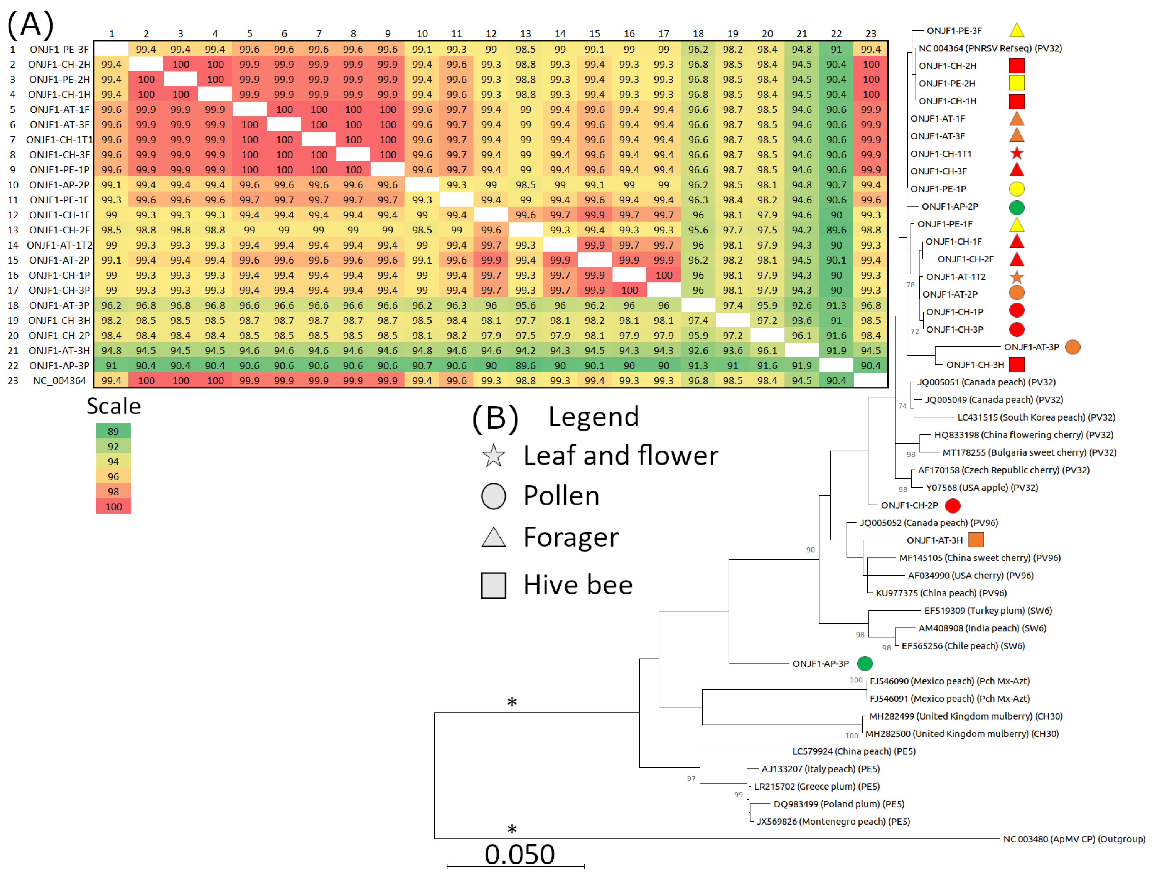 Viruses 16 01614 g006