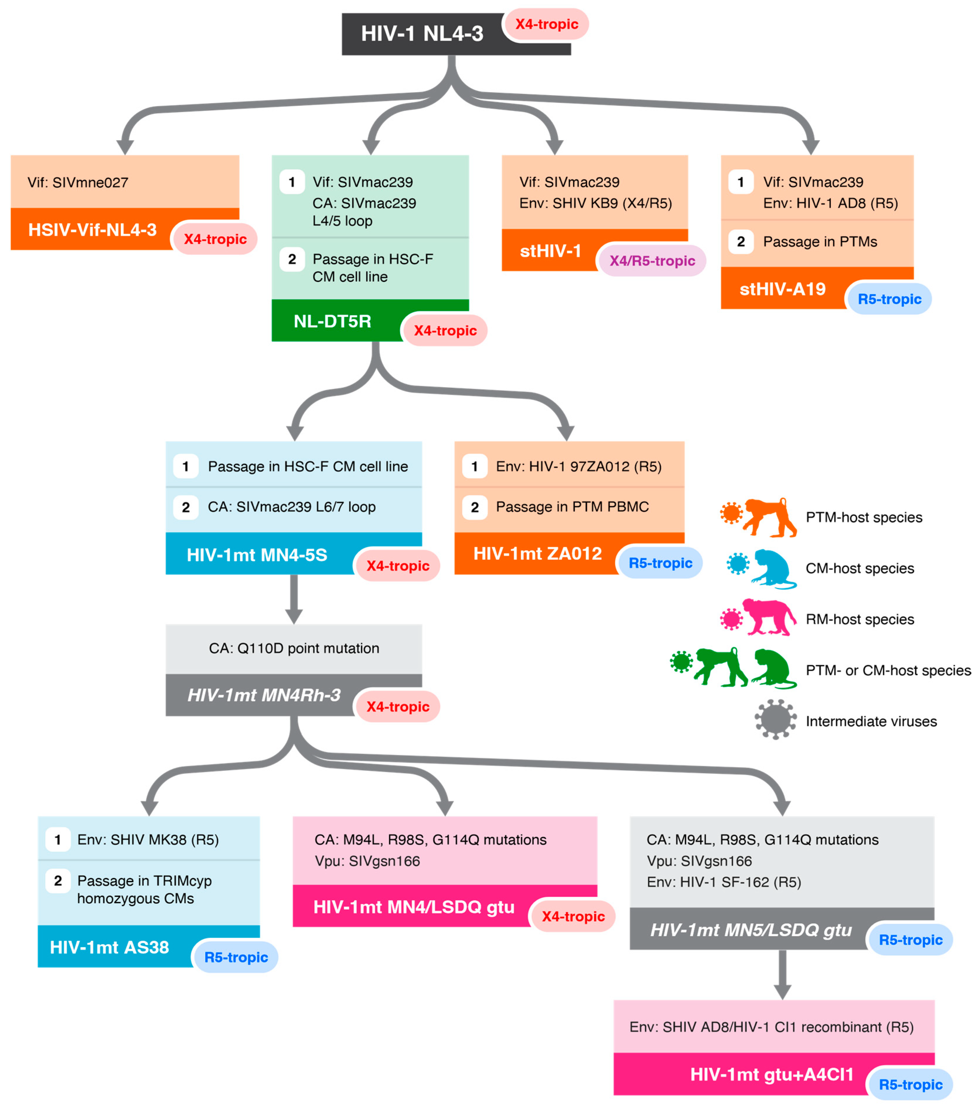 Viruses 16 01618 g001 Viruses 16 01618 g001